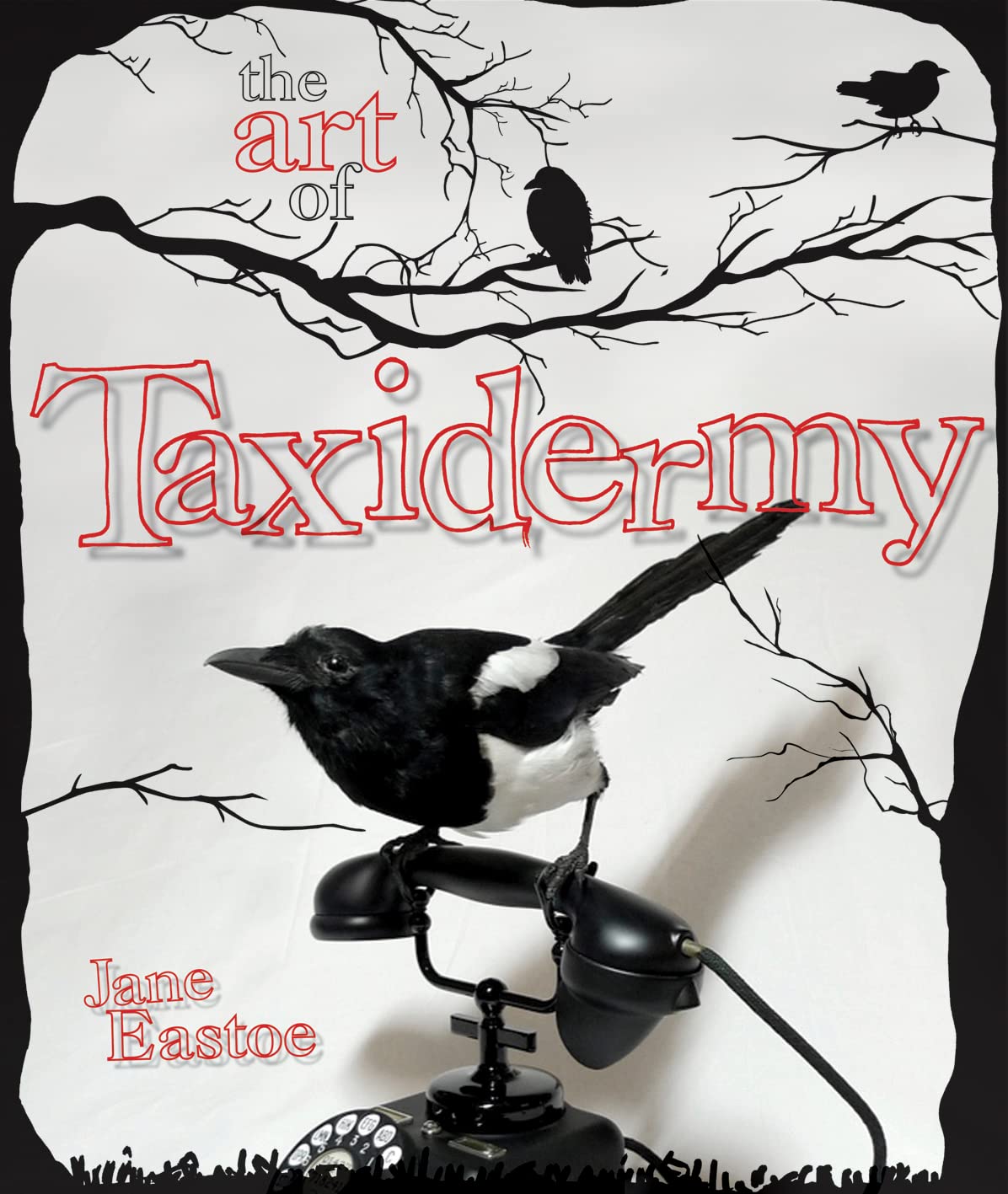 The Art of Taxidermy Mathematics