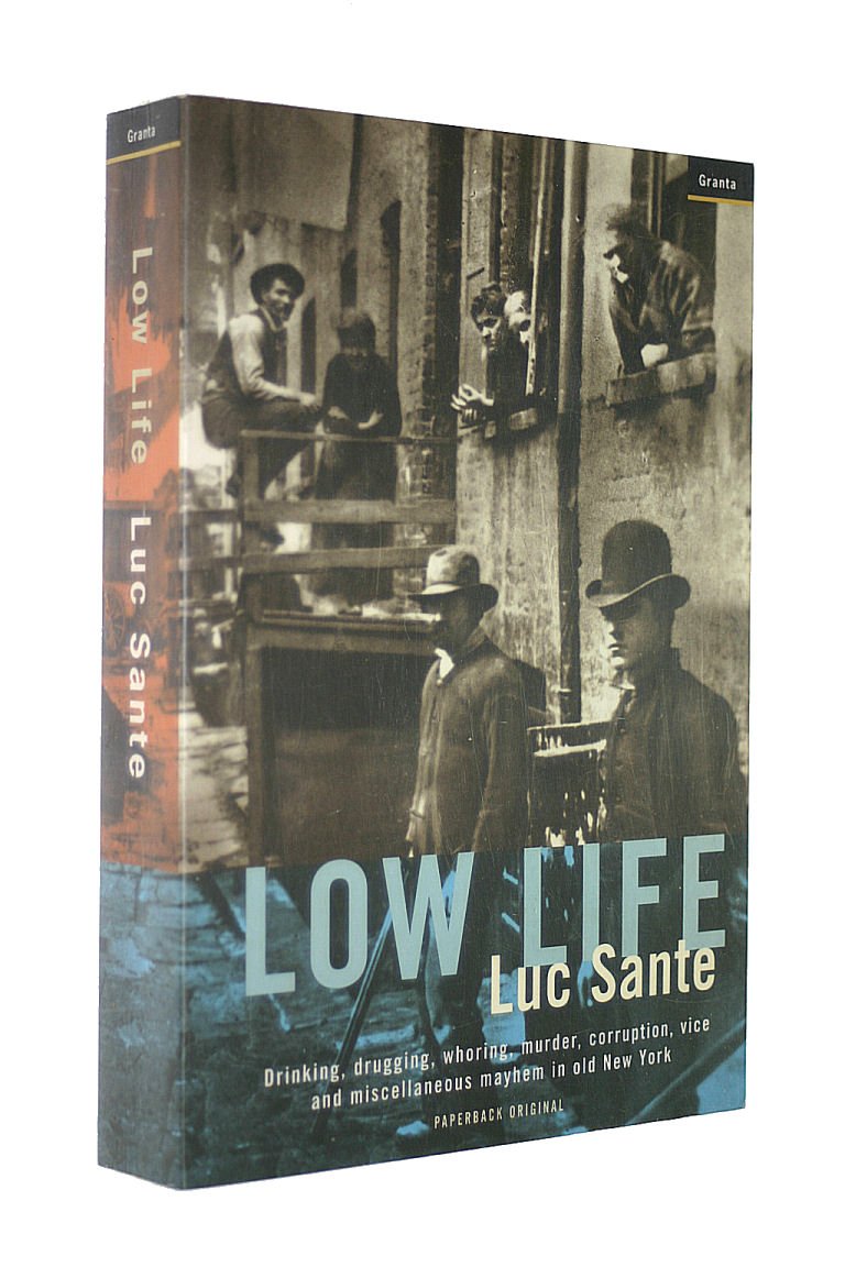 Low Life: Drinking, Drugging, Whoring, Murder, Corruption, Vice and Miscellaneous Mayhem in Old New York General education