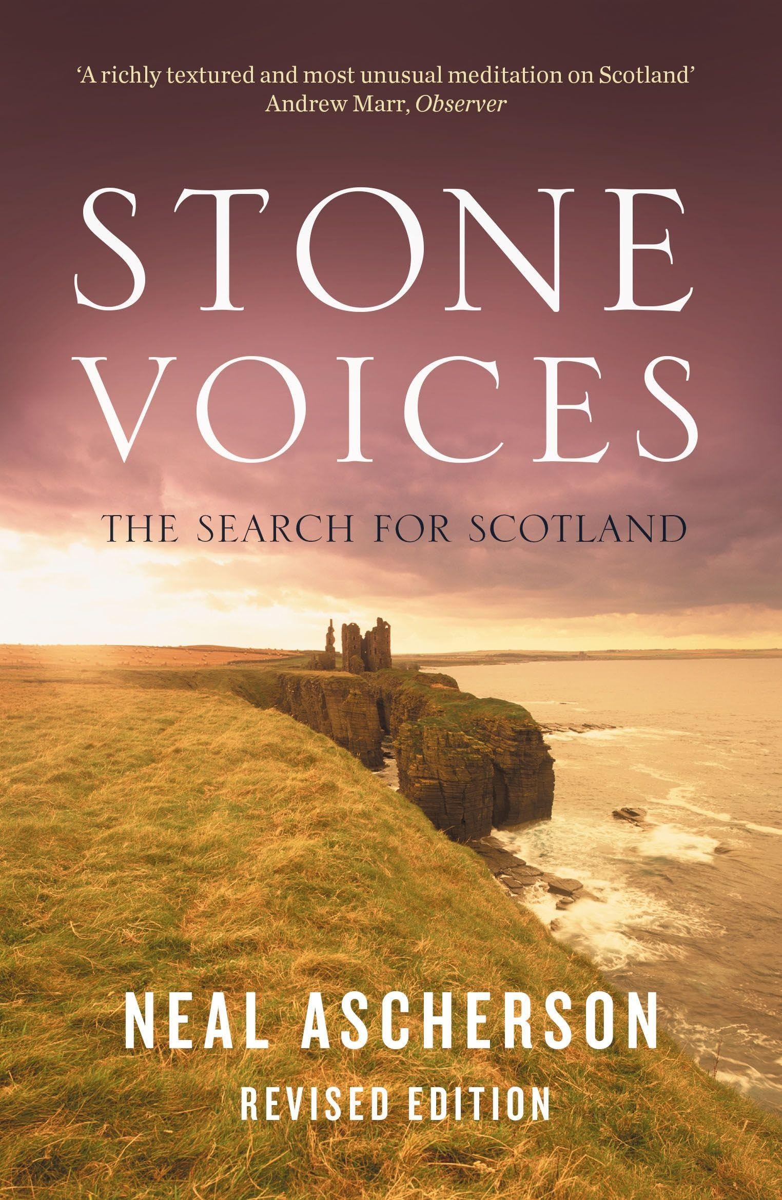 Stone Voices Politics & History books