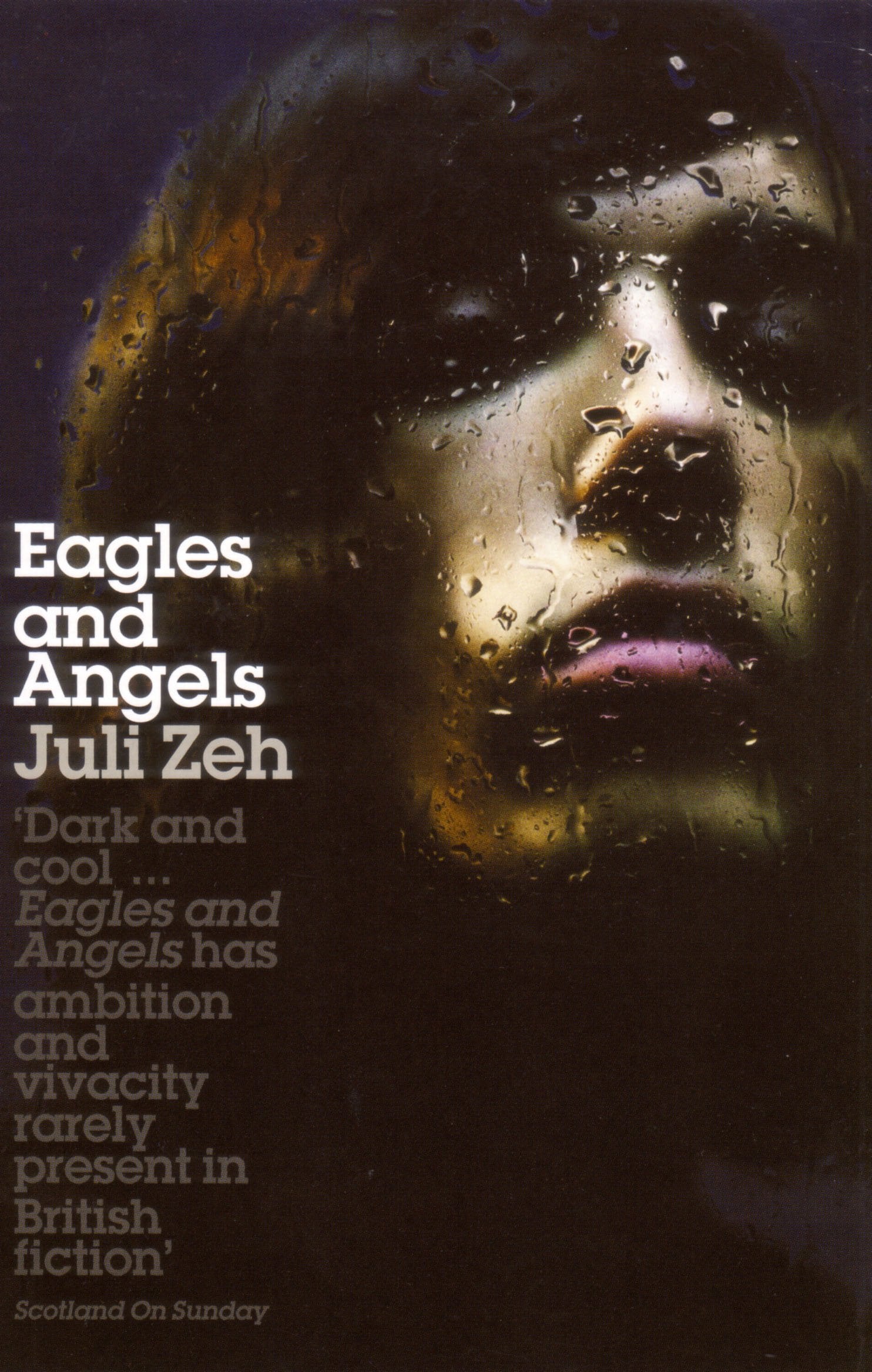 Product Image: Eagles and Angels