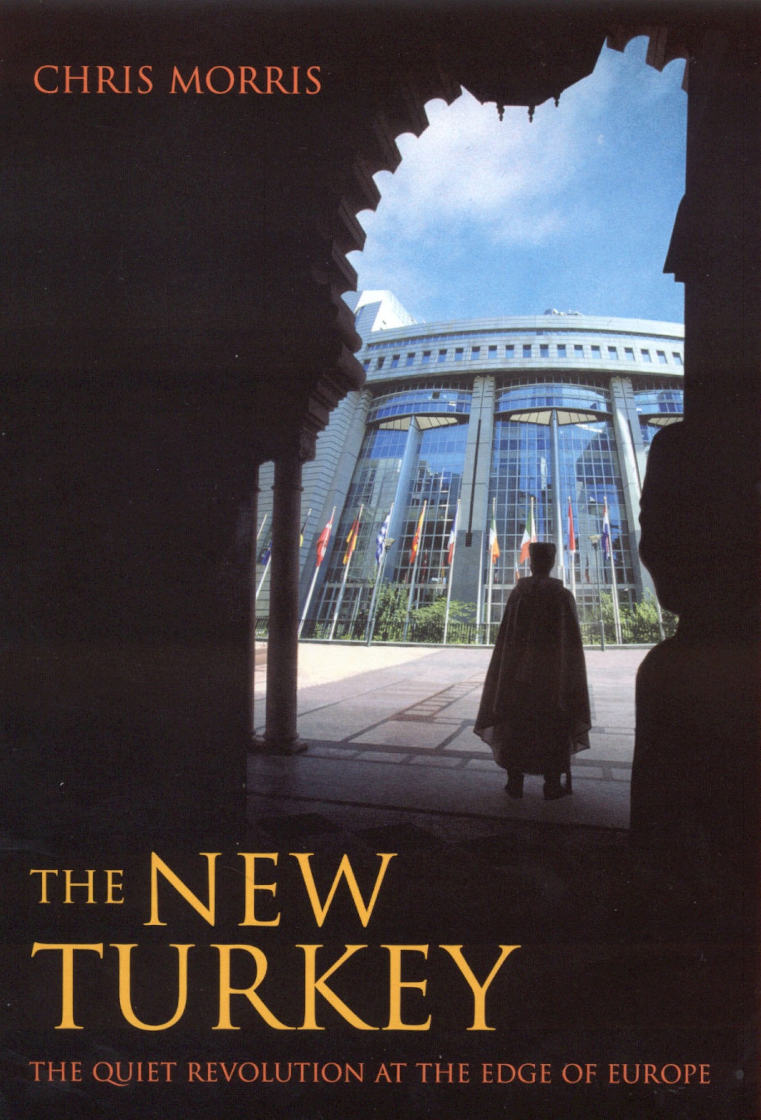 New Turkey: The Quiet Revolution on the Edge of Europe Politics & History