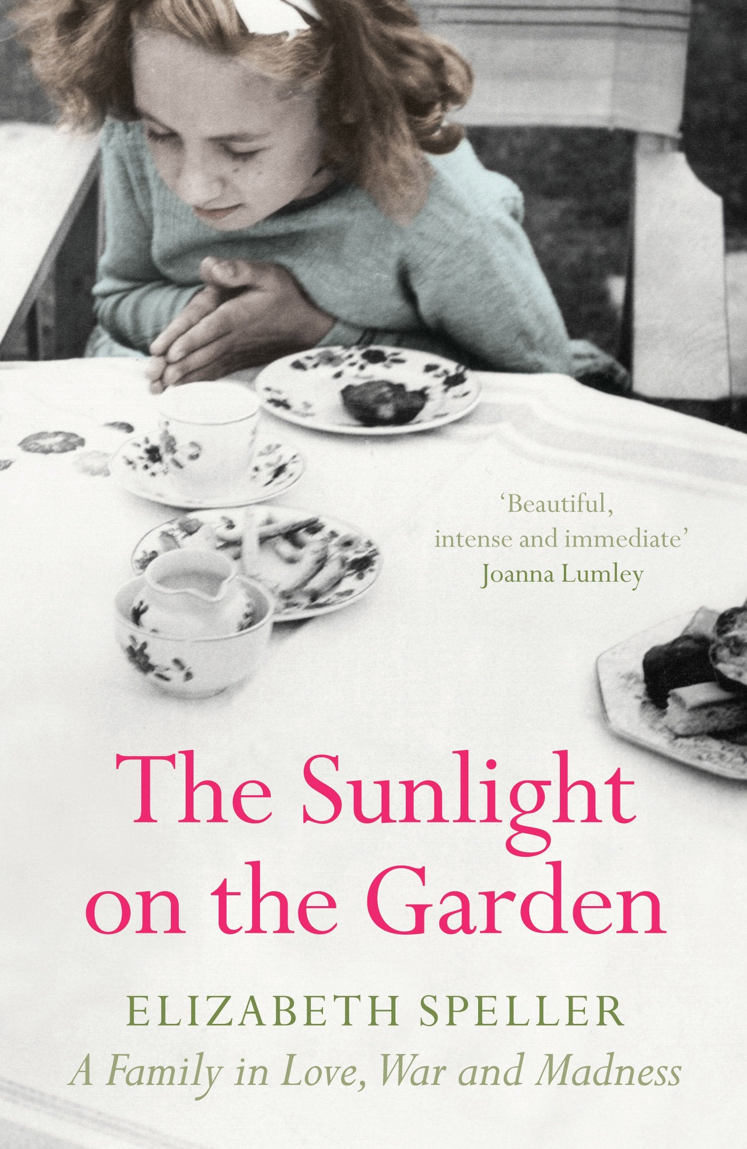 The Sunlight On The Garden: A Family In Love, War And Madness: A Memoir of Love, War and Madness Social Sciences