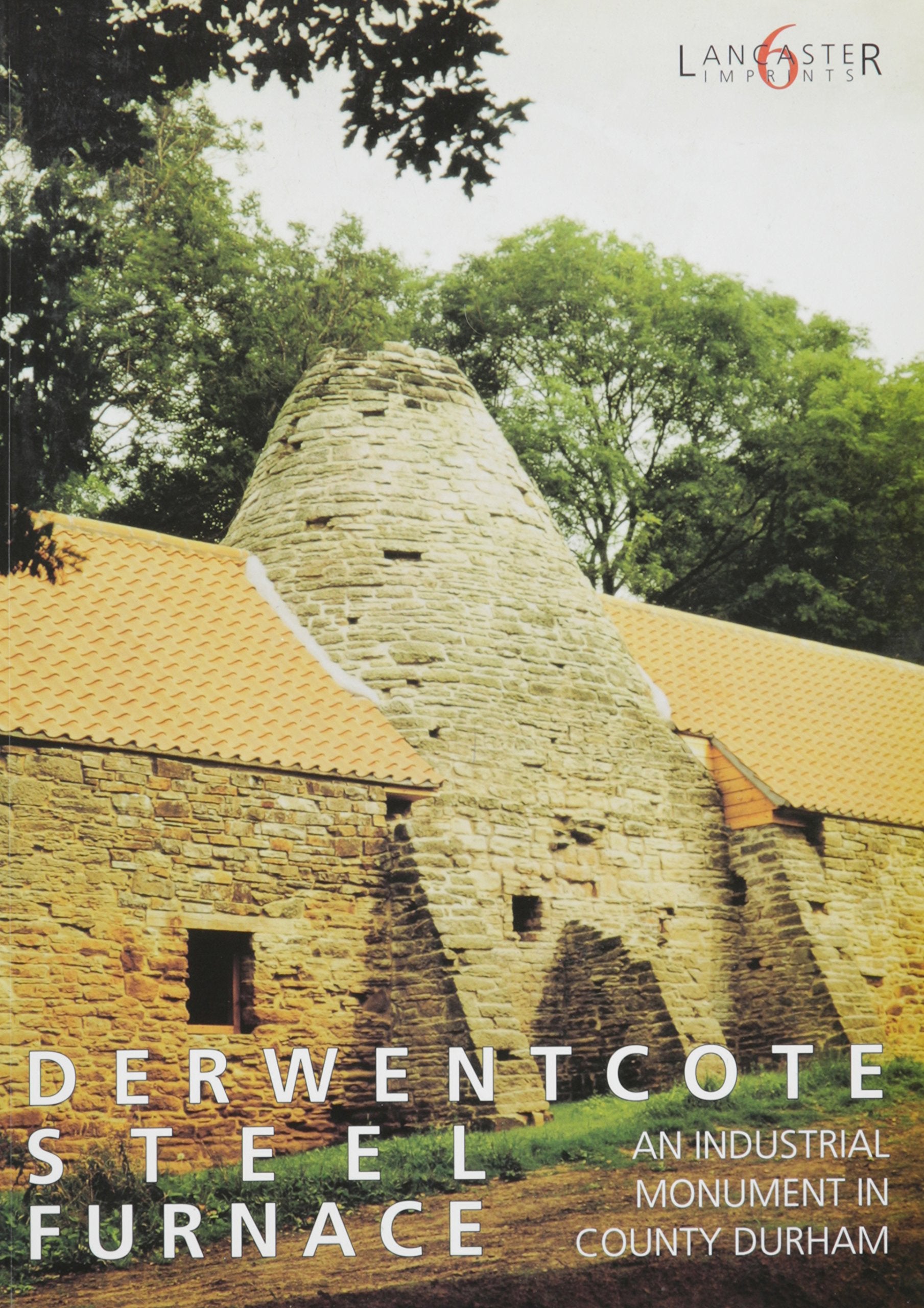 Derwentcote Steel Furnace: An Industrial Monument in County Durham (Lancaster Imprints, Band 6) Social Sciences