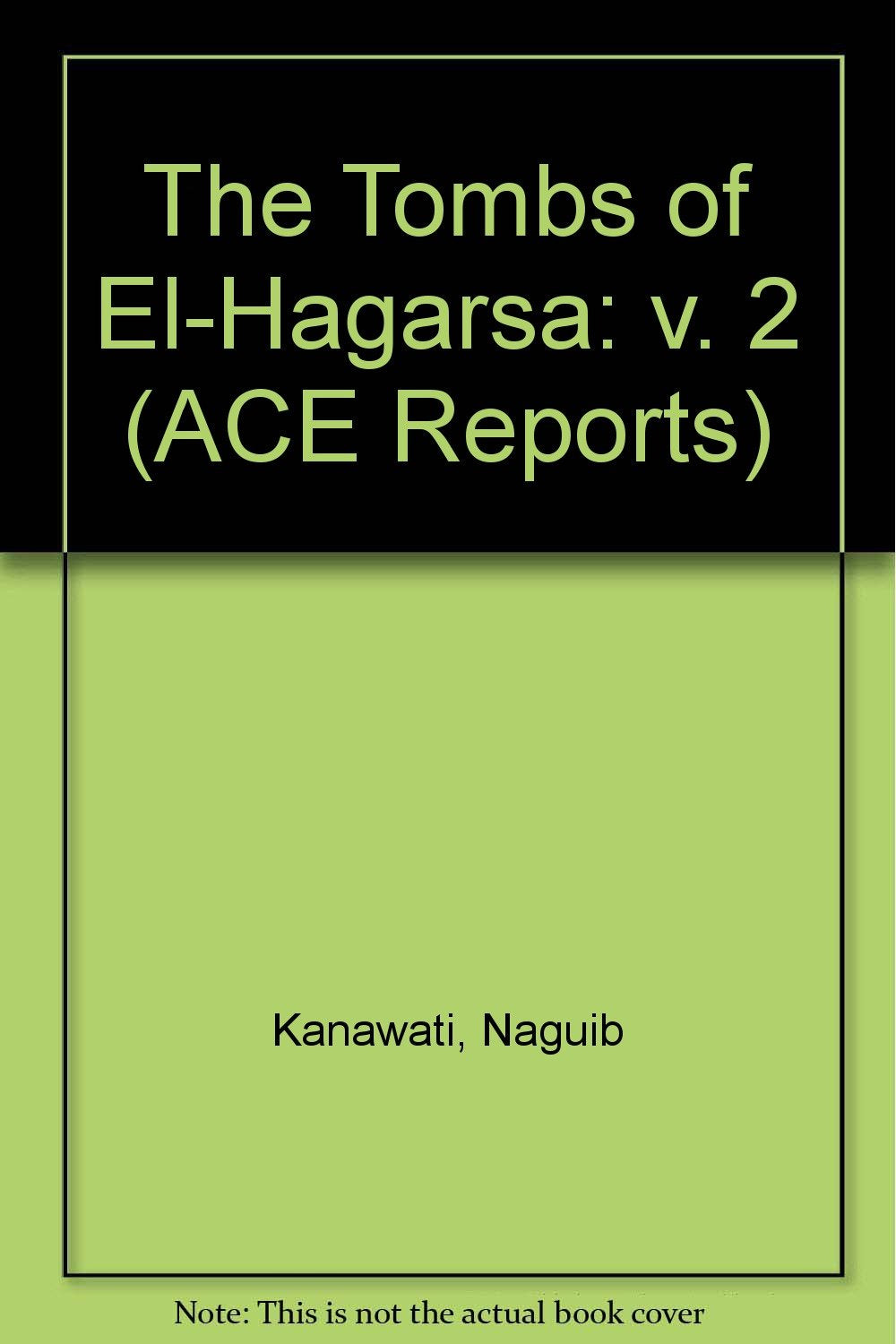 The Tombs of El-Hagarsa Volume 2 book