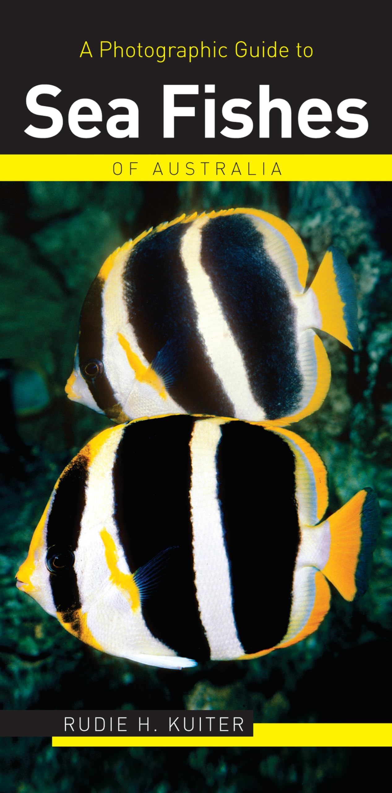 A Photographic Guide to Sea Fishes of Australia Mathematics