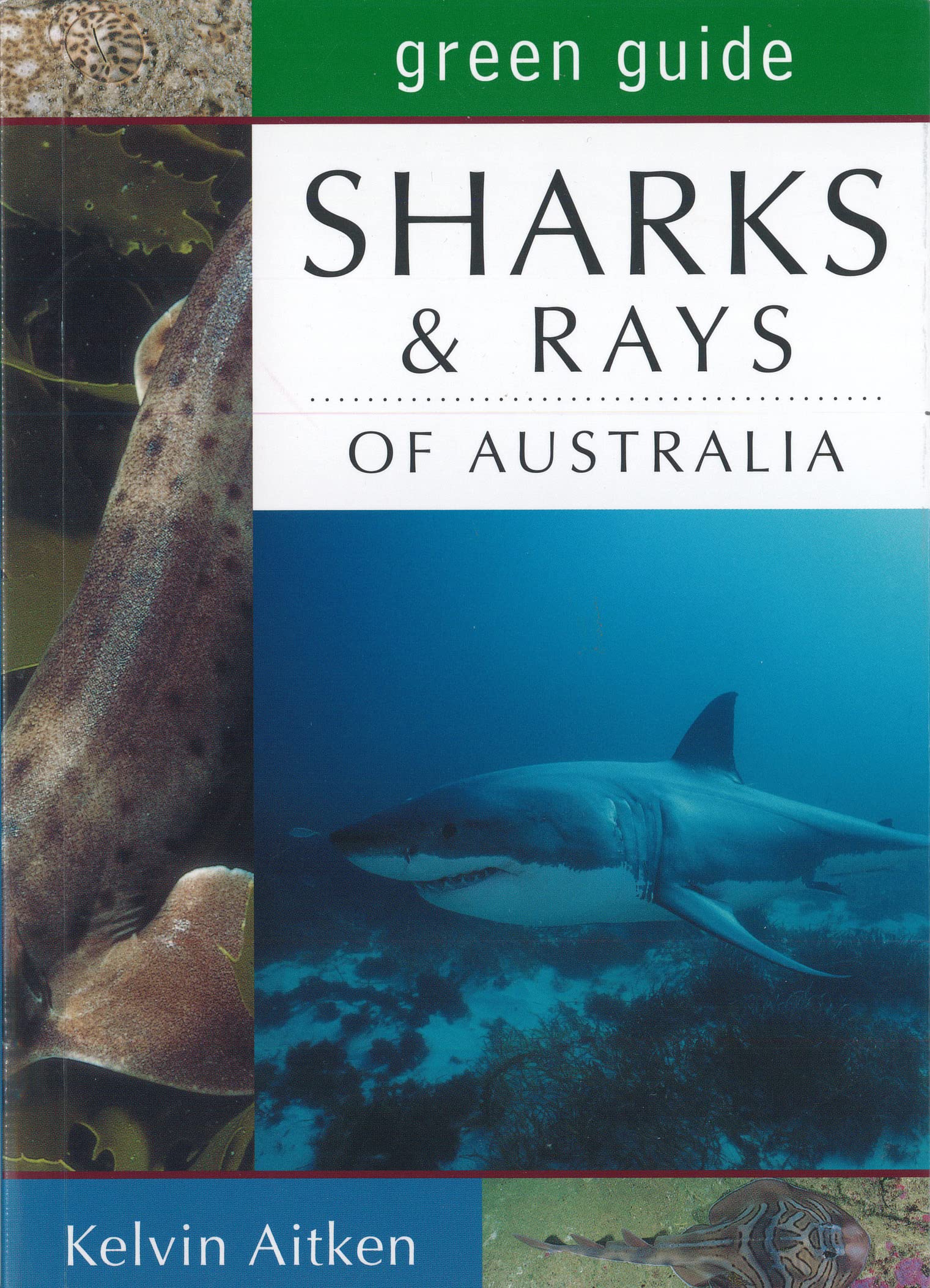 Green Guide Sharks & Rays of Australia (Australian Green Guides) Mathematics
