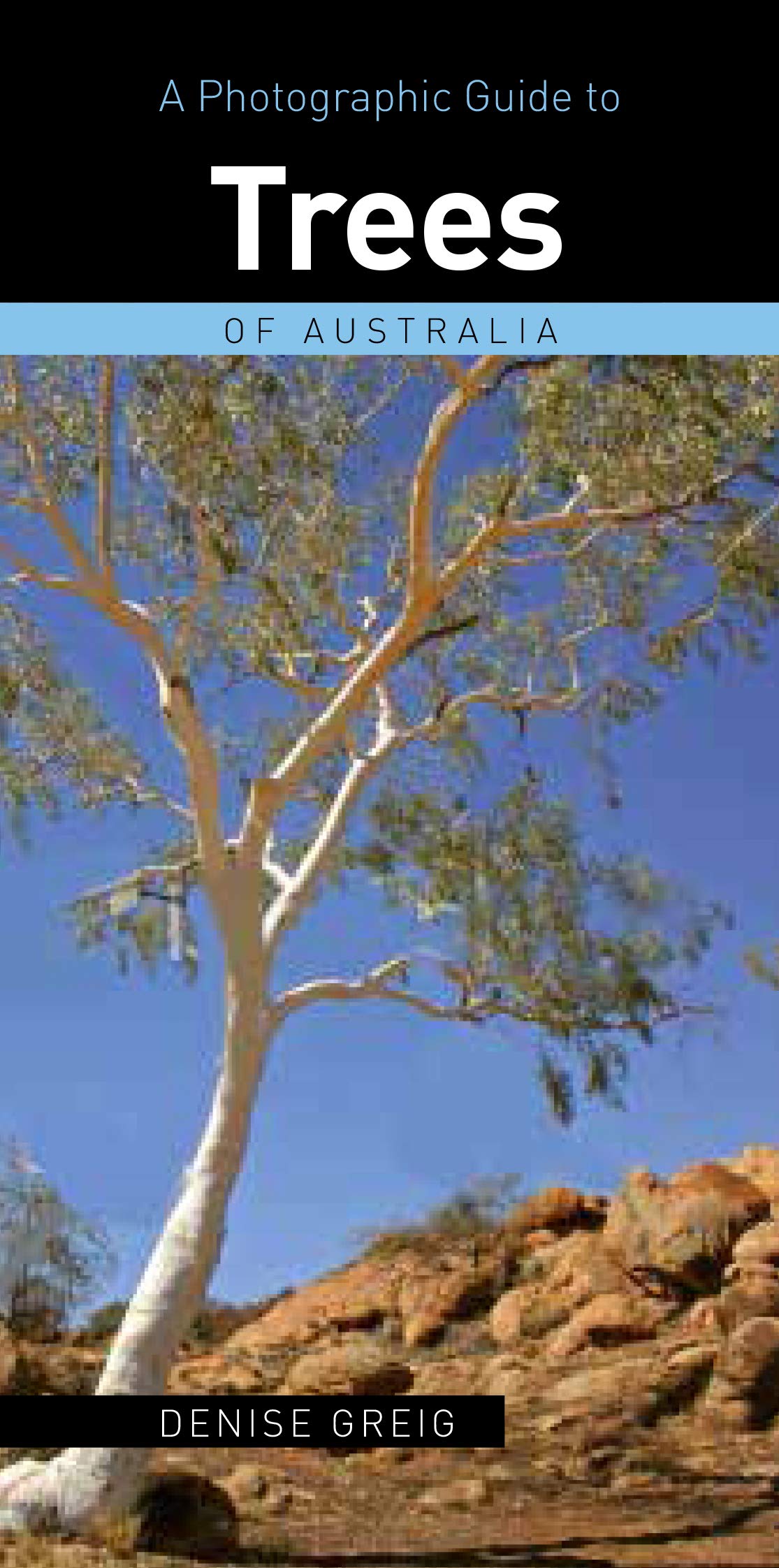 Photographic Guide to Common Australian Trees (Photographic Guides of Australia) Mathematics