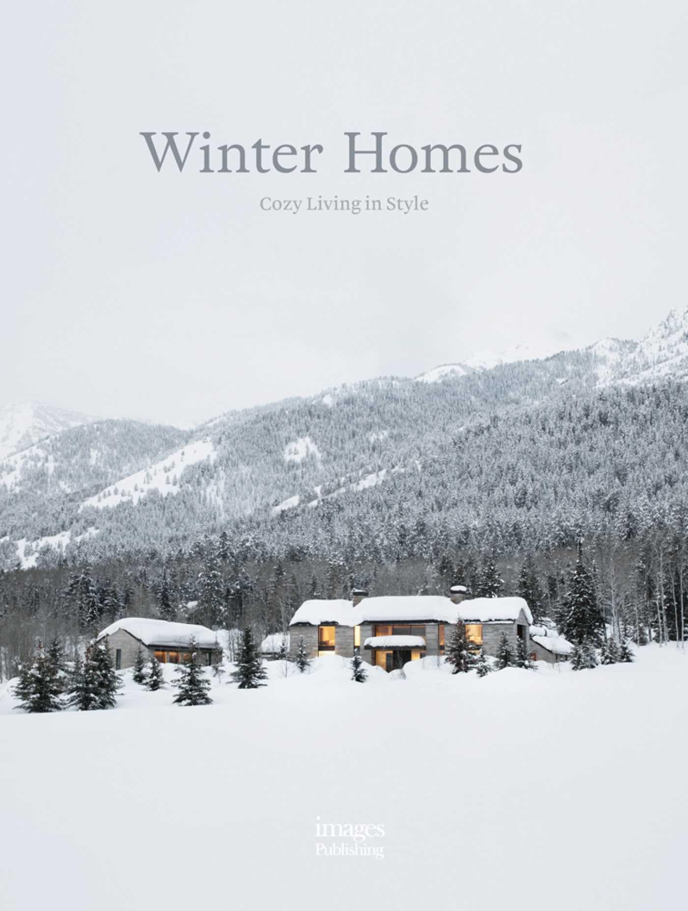 Winter Homes: Cozy Living in Style Architecture
