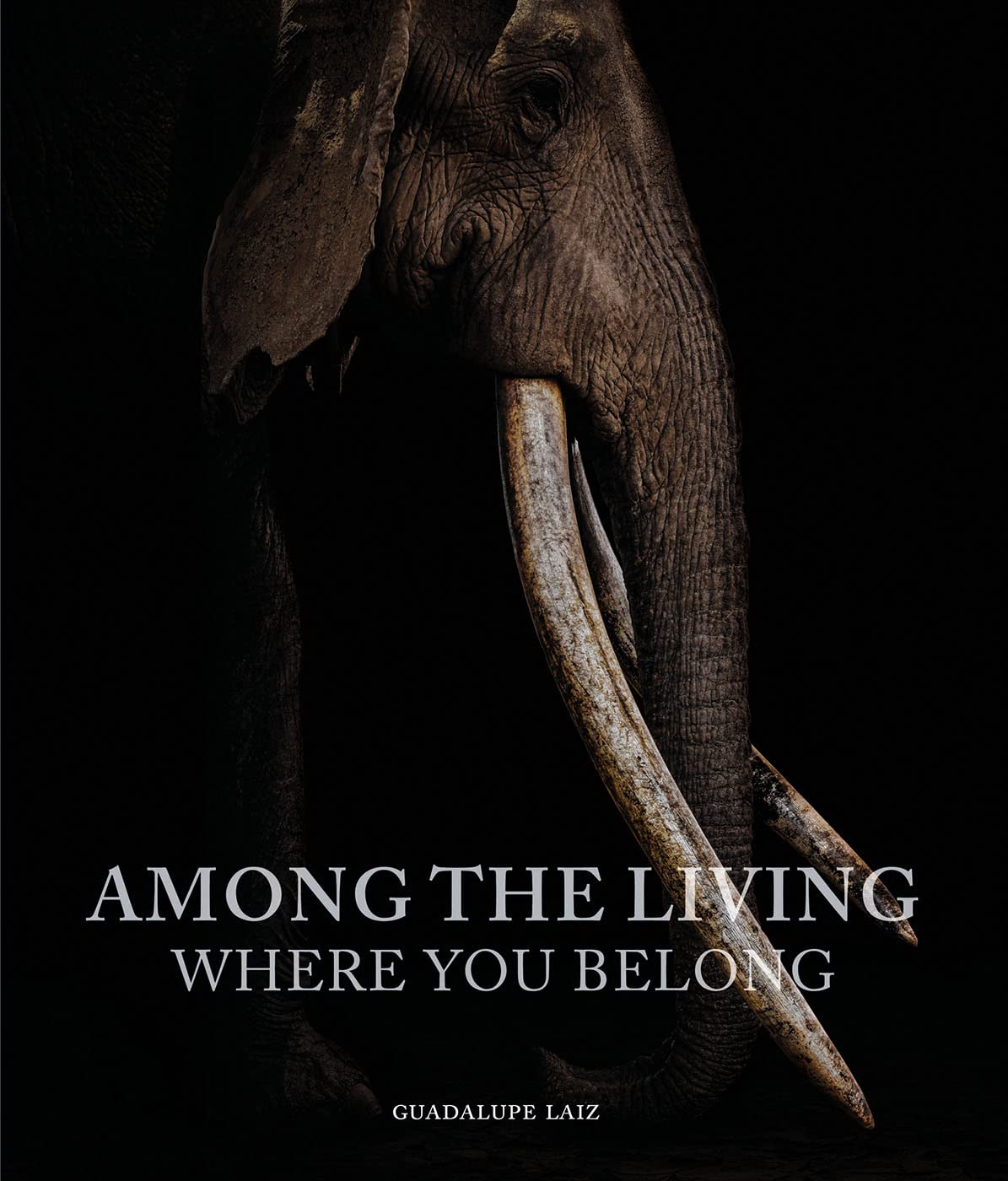 Among the Living: Where You Belong Travel
