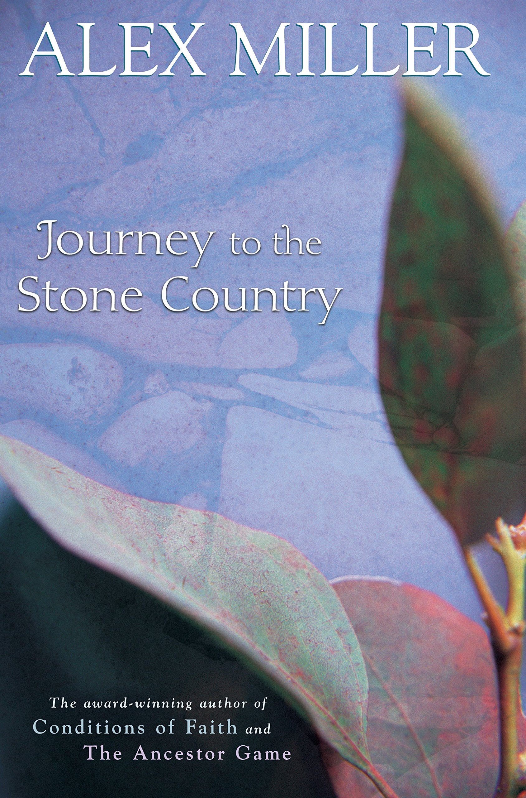 Journey to the Stone Country Books