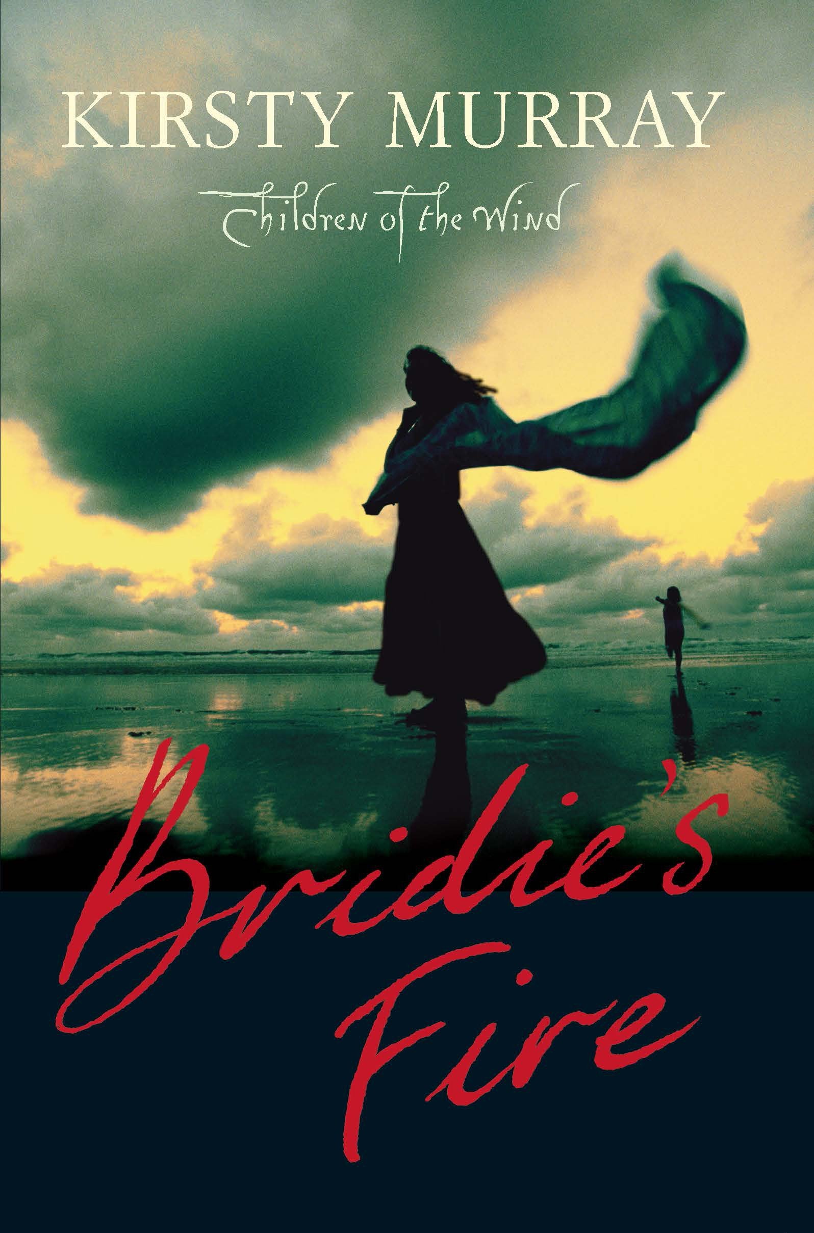 Bridie's Fire (Children of the Wind, Band 1) Non-fiction
