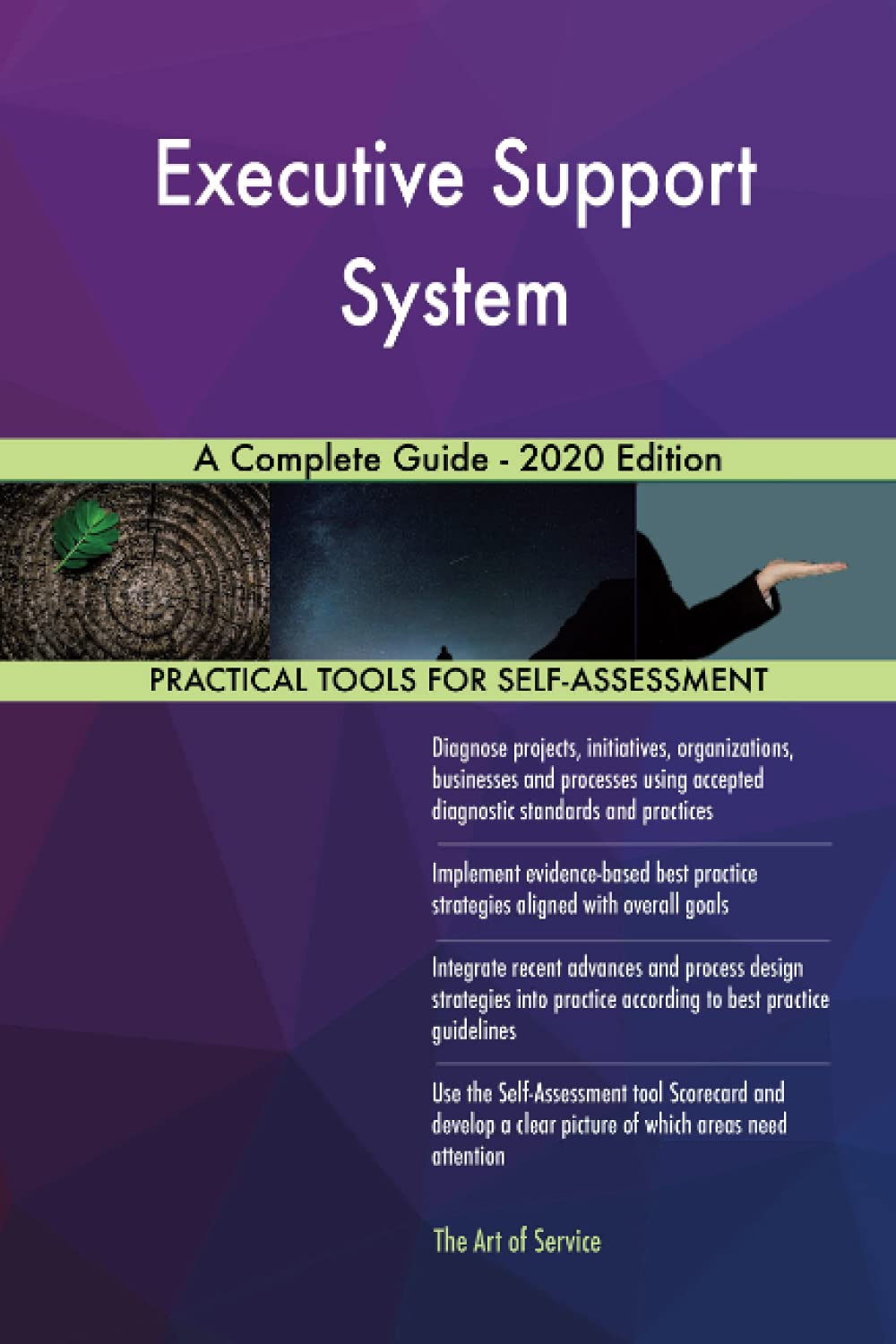 Executive Support System A Complete Guide - 2020 Edition Business, Finance & Career