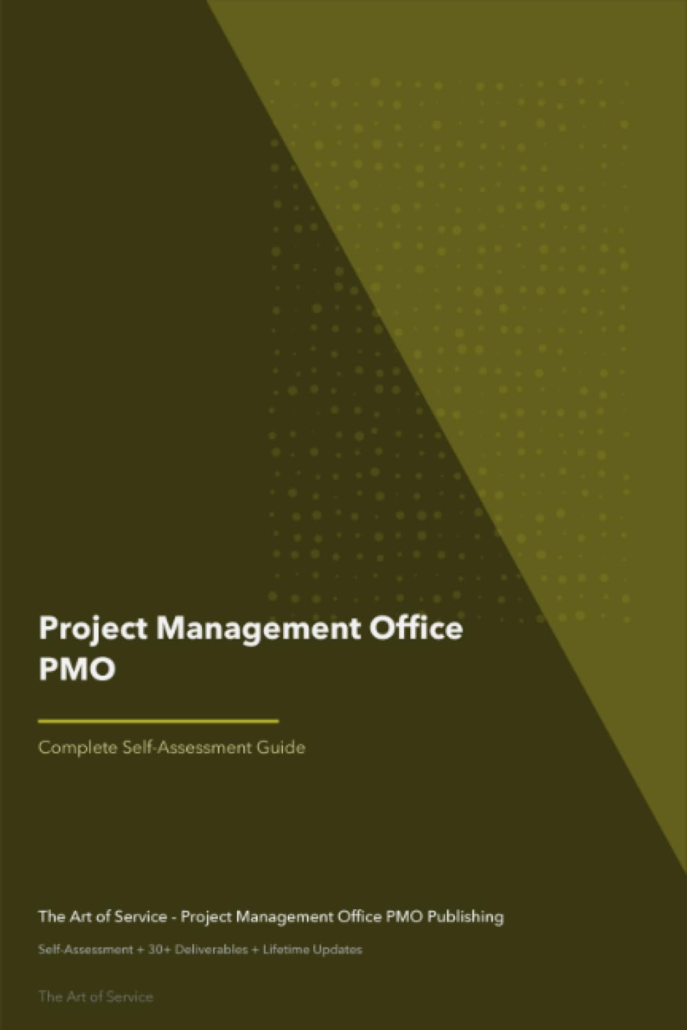 Project Management Office PMO A Complete Guide Business, Finance & Career