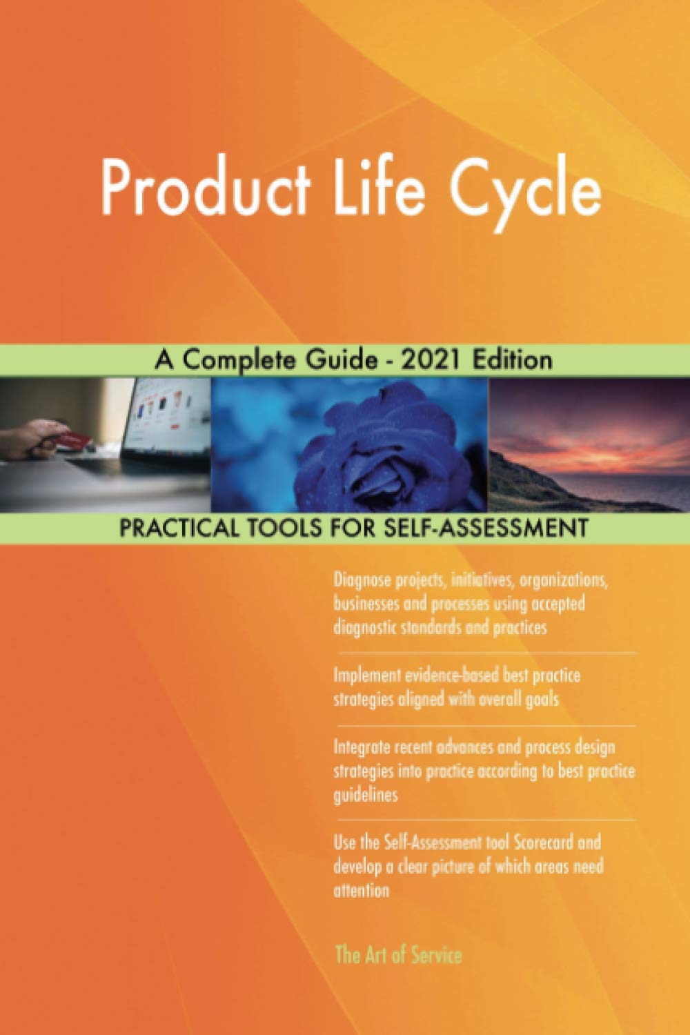 Product Life Cycle A Complete Guide - 2021 Edition Business, Finance & Career