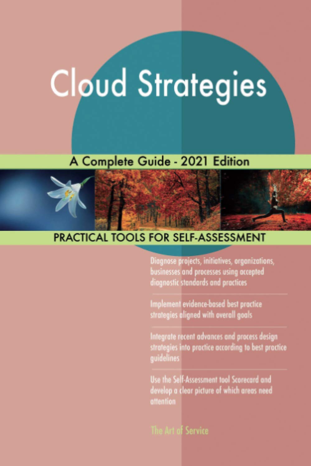 Cloud Strategies A Complete Guide - 2021 Edition book