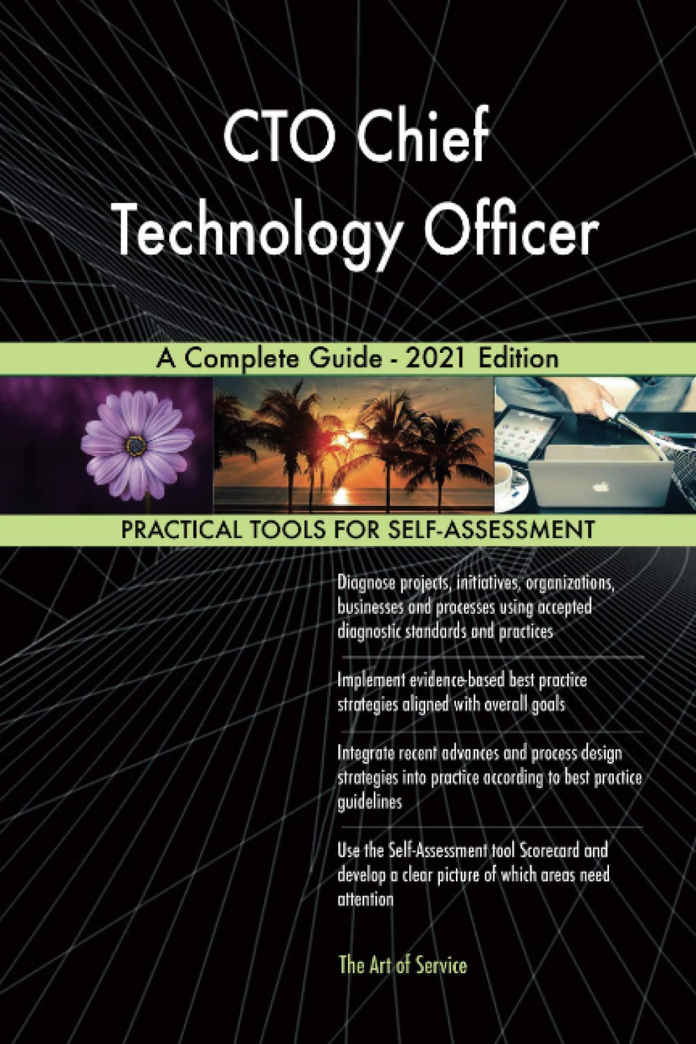 CTO Chief Technology Officer A Complete Guide - 2021 Edition book