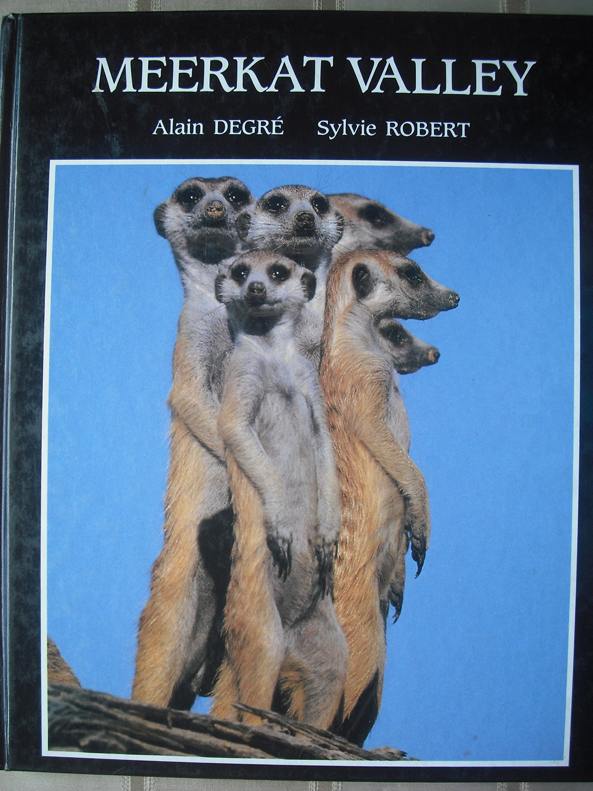 Meerkat Valley book