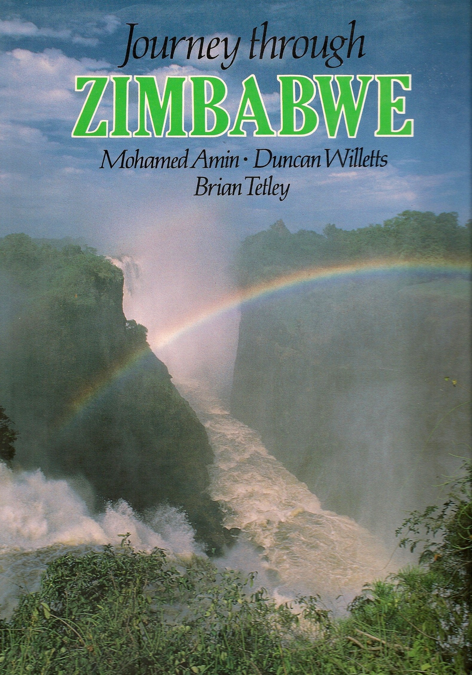 Journey through Zimbabwe book