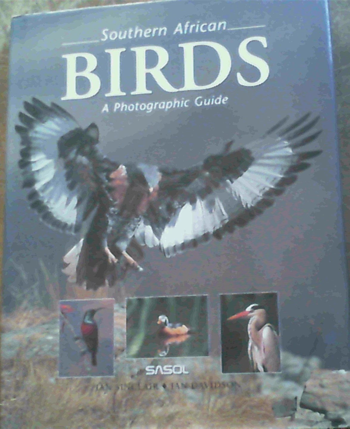 Southern African Birds: A Photographic Guide Mathematics