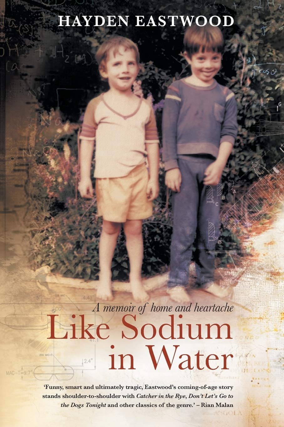 LIKE SODIUM IN WATER Art & Literature