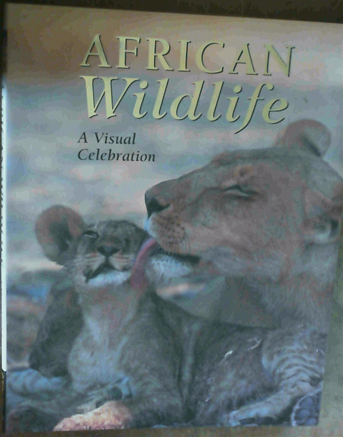 African Wildlife: A Visual Celebration Mathematics