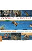 Catching the Moment: Photographing Wildlife in a Timeless Wilderness Mathematics