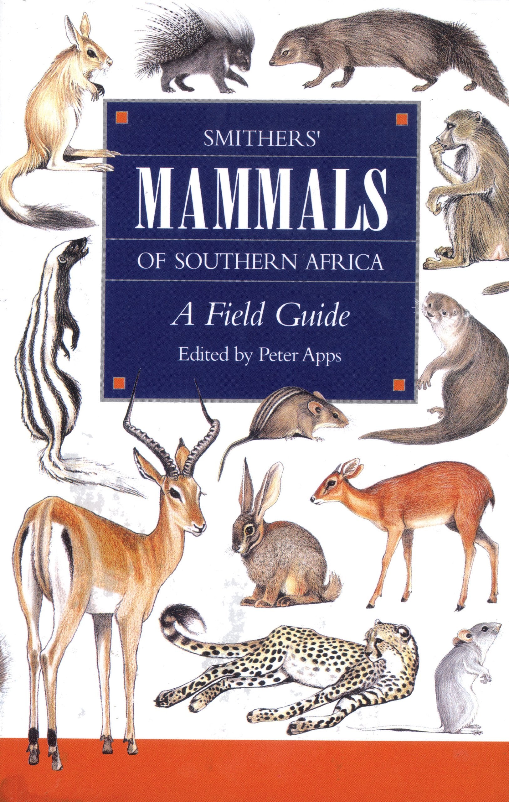 Smither's Mammals of Southern Africa: A Field Guide Mathematics