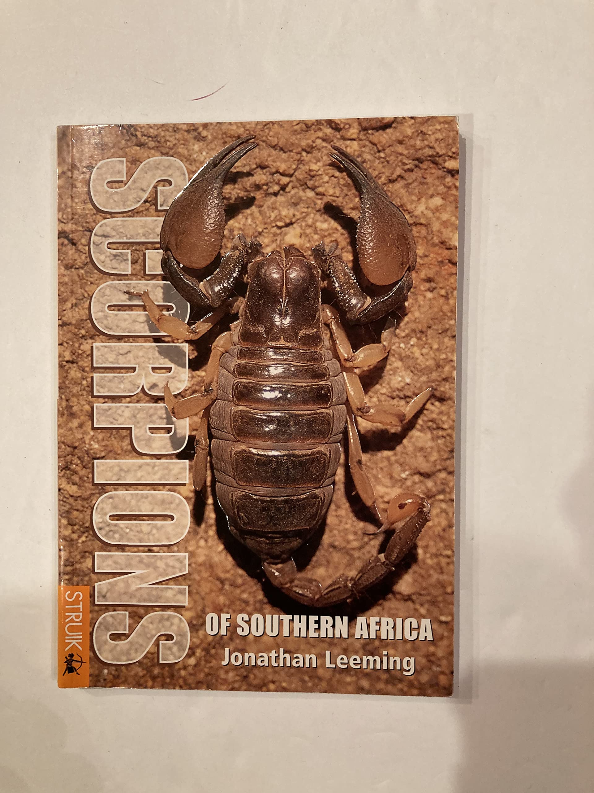 Scorpions of Southern Africa Leisure, Home & Garden