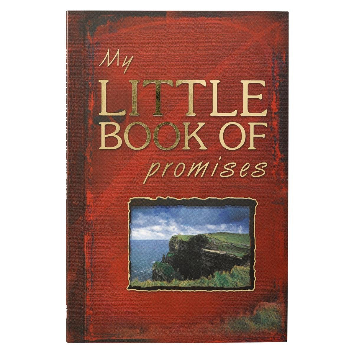 My Little Book of Promises book