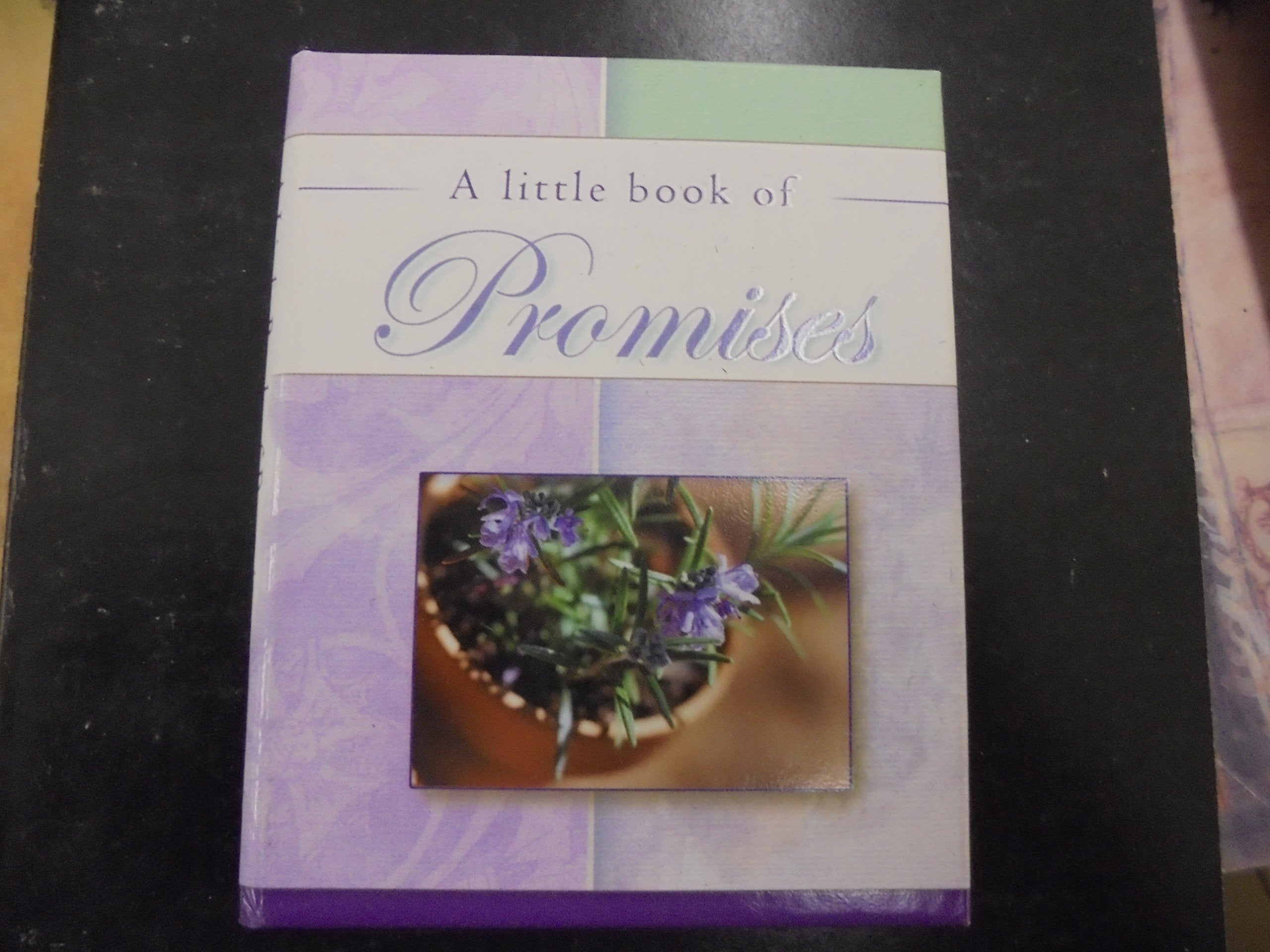 Little Book Of Promises Books