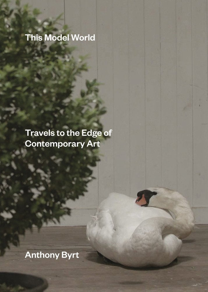 This Model World: Travels to the Edge of Contemporary Art Science