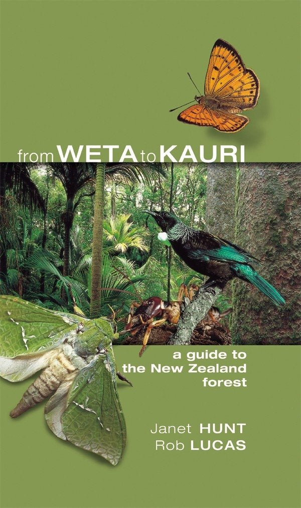 From Weta To Kauri: A Guide To the NZ Forest book