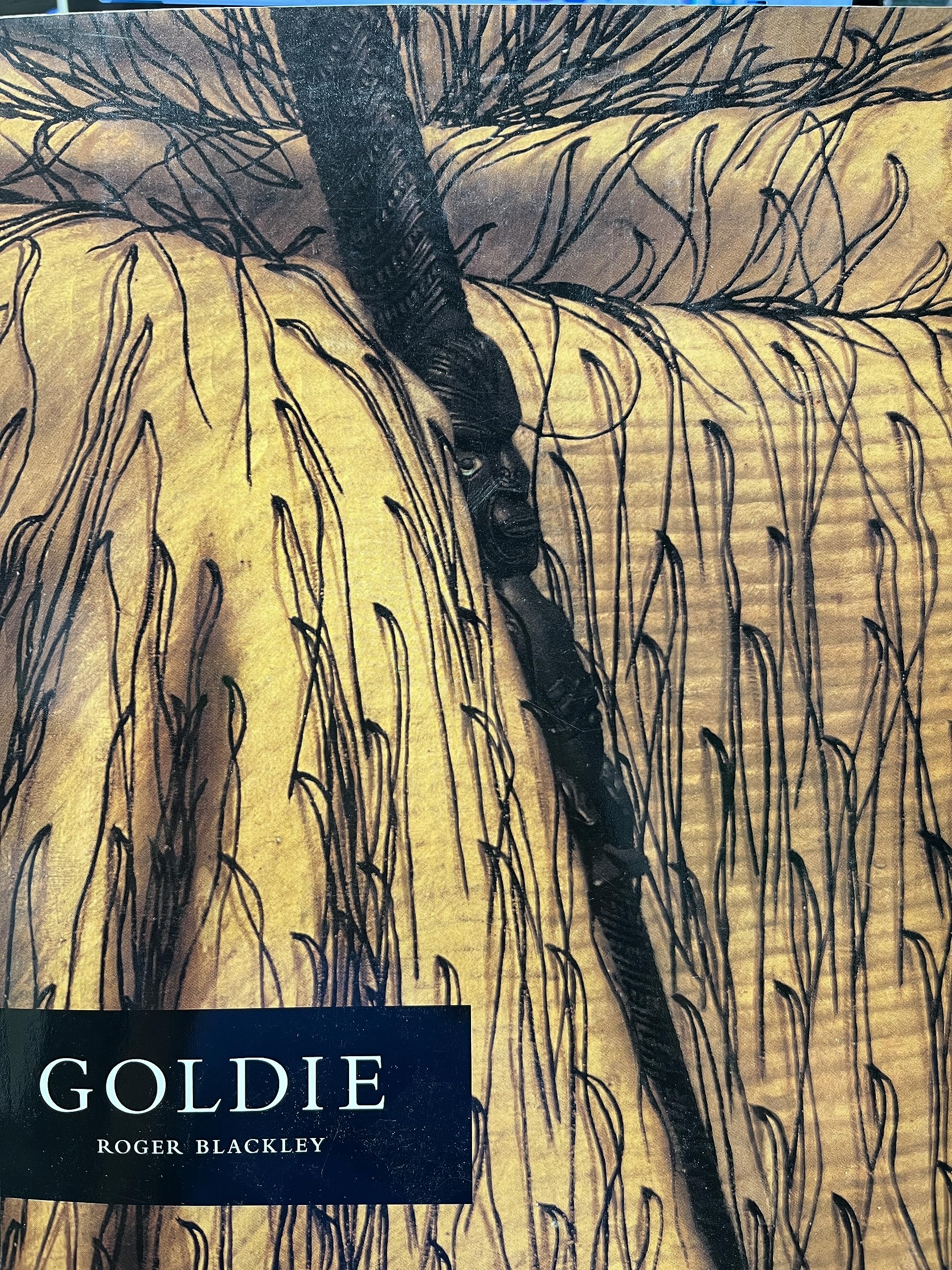 Goldie Art of Charles F Goldie Memories