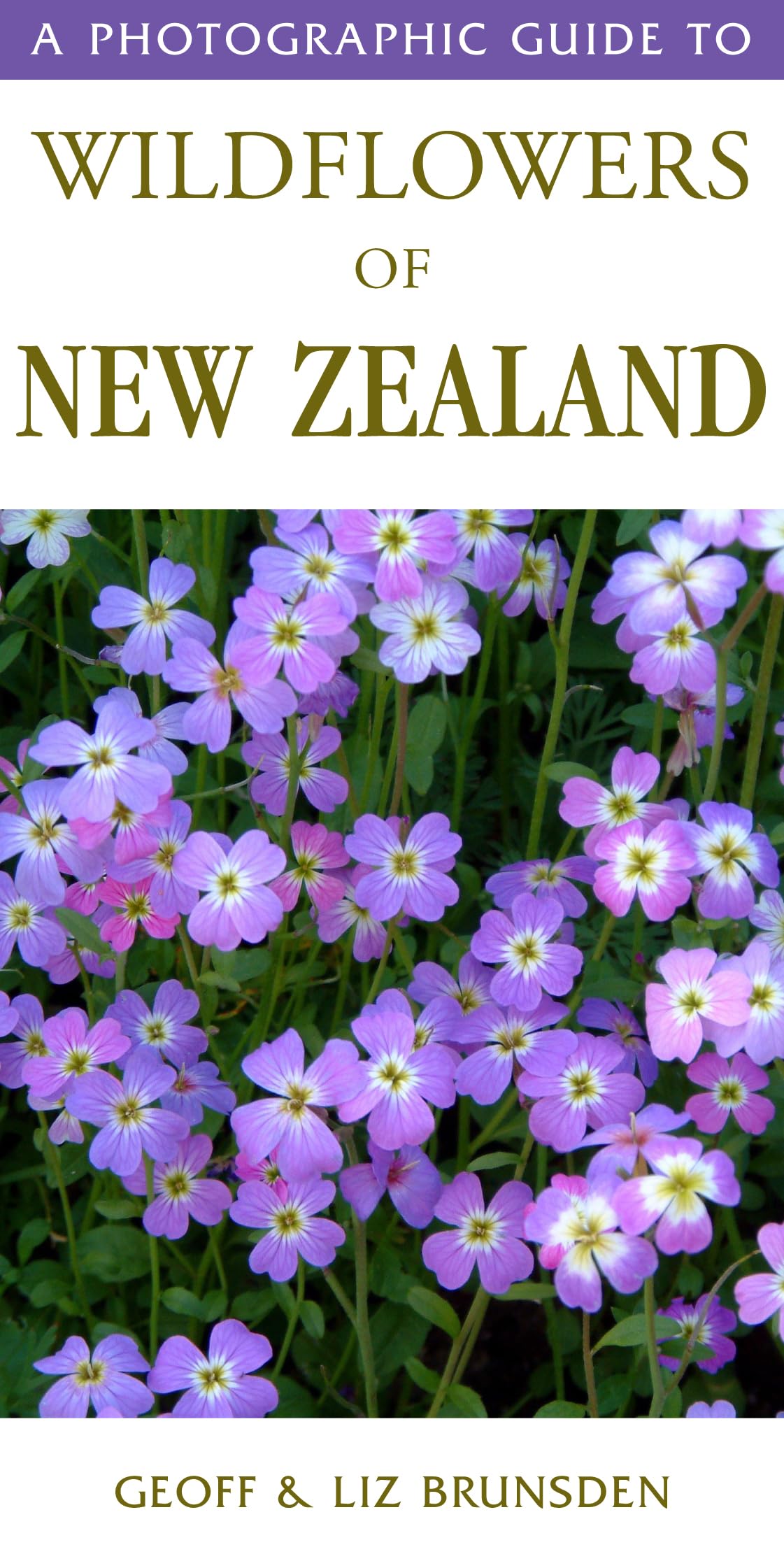 Photographic Guide to Wildflowers of New Zealand Social Sciences