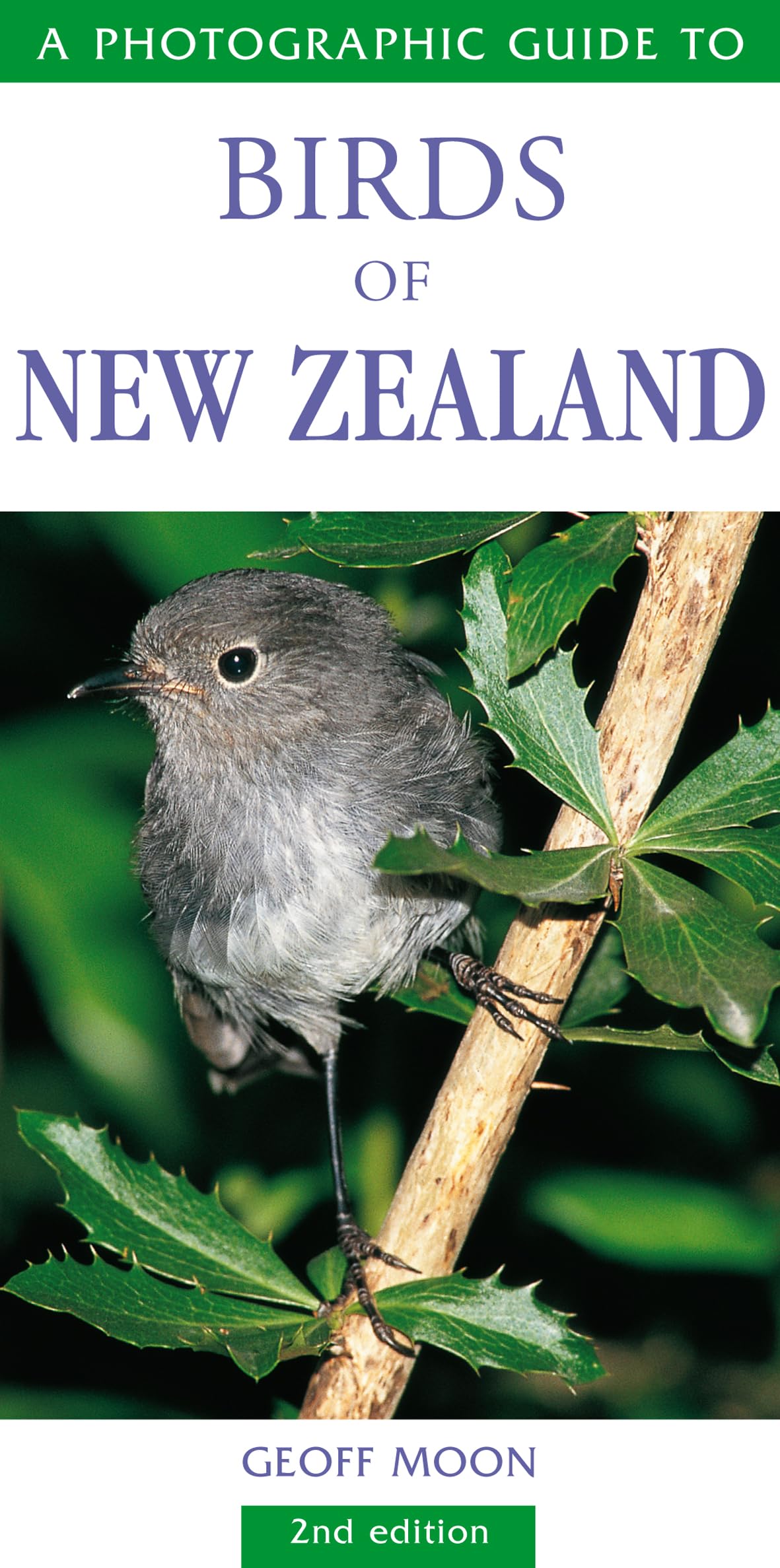 Photographic Guide to Birds of New Zealand Mathematics