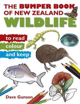 Bumper Book of New Zealand Wildlife to Read, Colour & Keep Tiptoi & Games