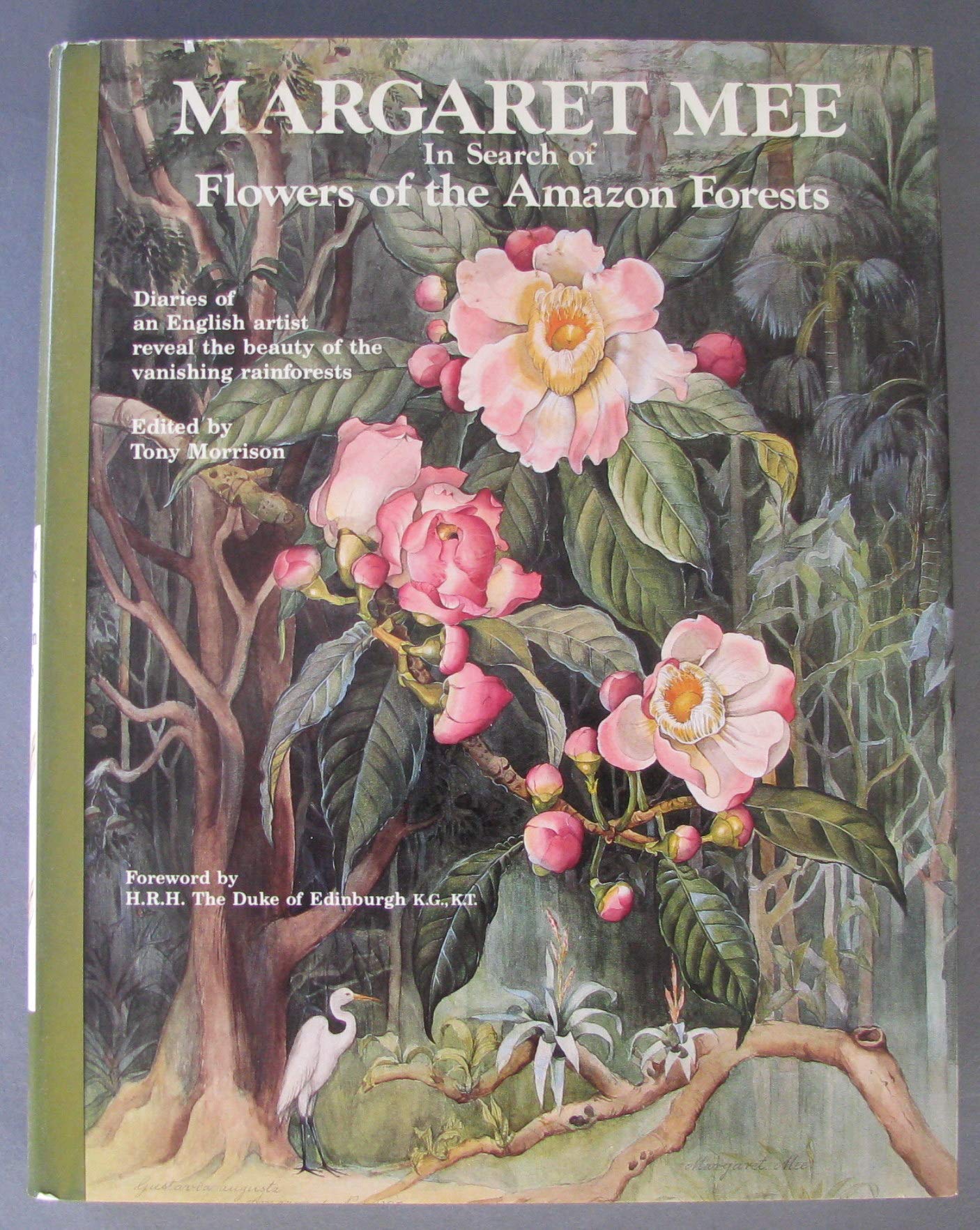 Margaret Mee in Search of Flowers of the Amazon Forests: In Search of Flowers of the Amazon Forests: Diaries of an English Artist Reveal the Beauty of the Vanishing Rainforest Architecture