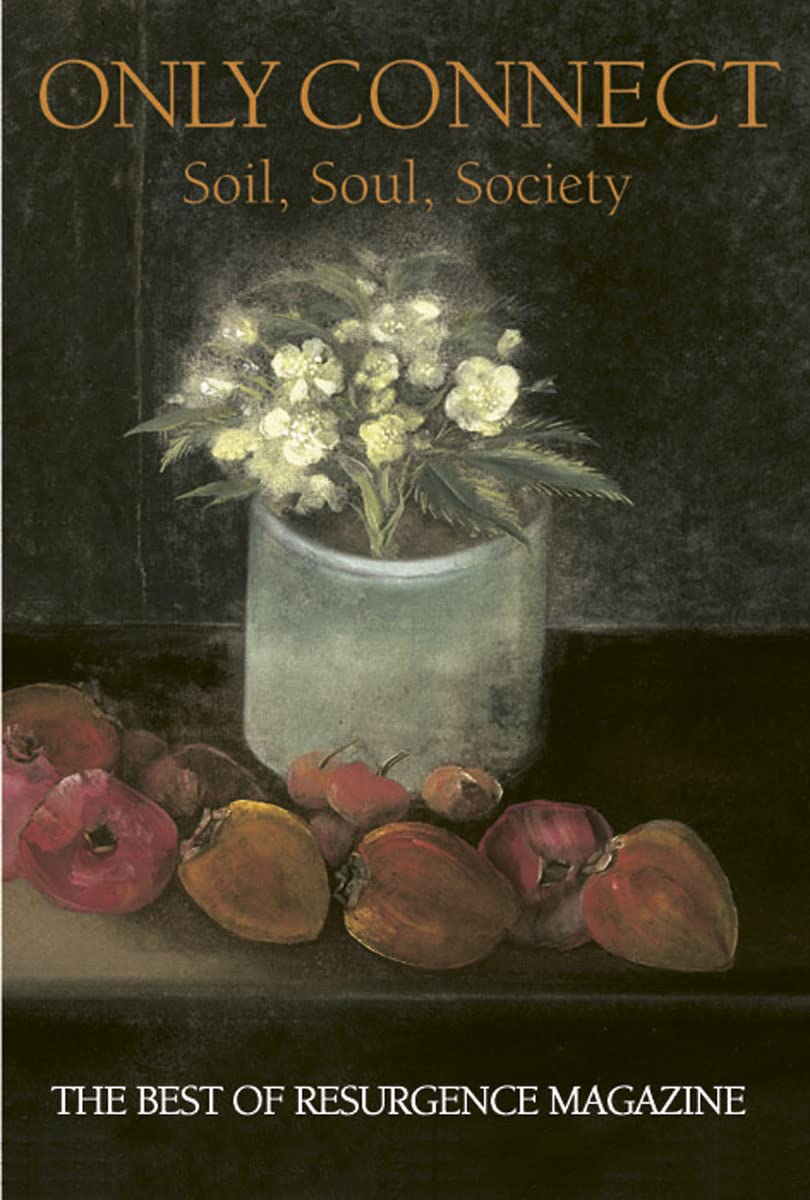 Only Connect: The Best of "Resurgence", 1990-1999 book