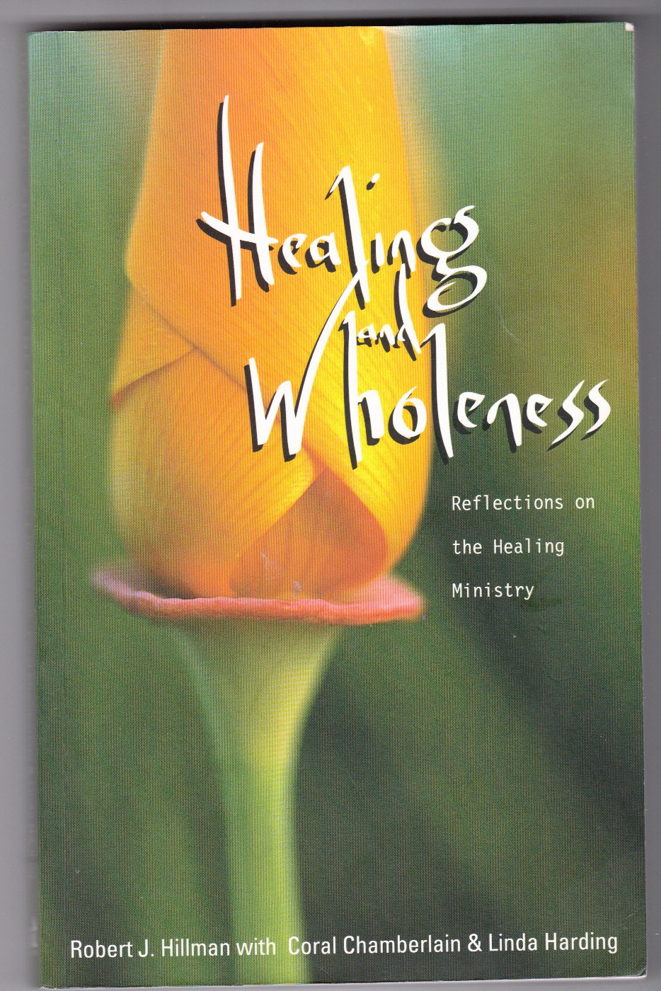 Gospel, Healing and Spirit: Reflections on the Healing Ministry (Regnum Studies in Mission S.) Books