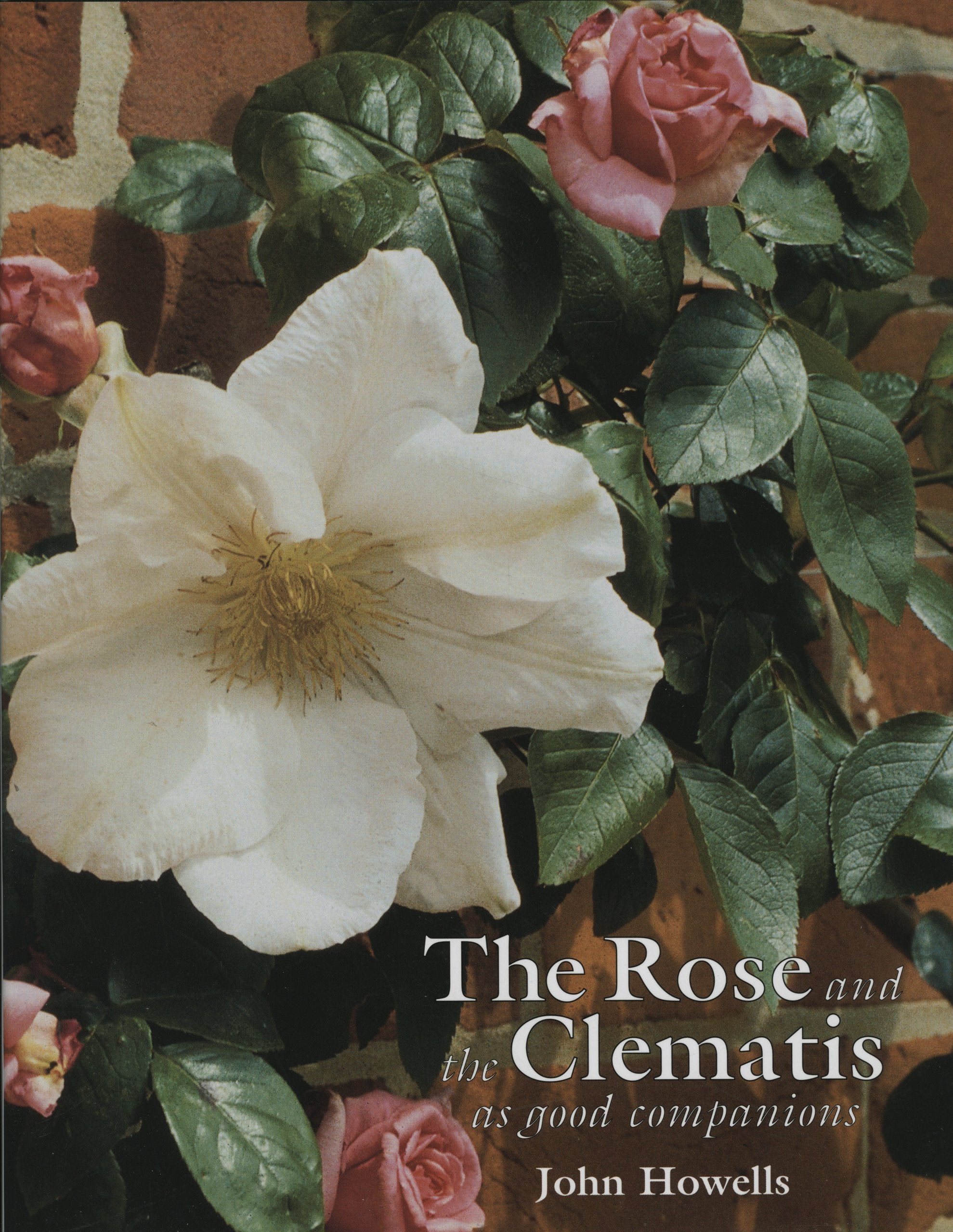 Rose and the Clematis As Good Companions Garden & Plants