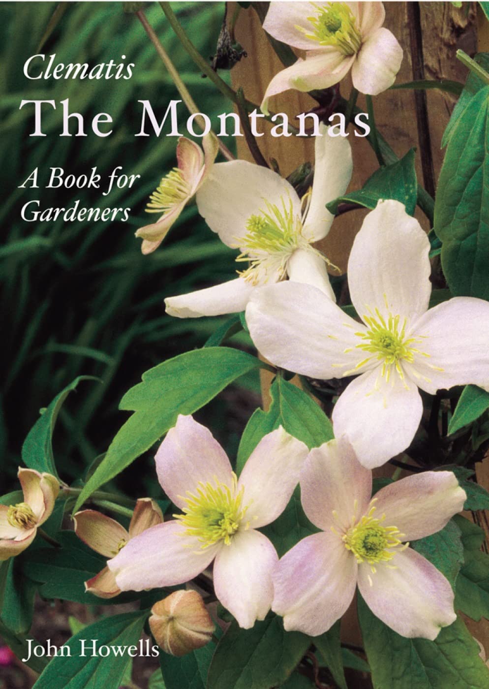 Everyone's Clematis - The Montanas: A Book For Gardeners Garden & Plants