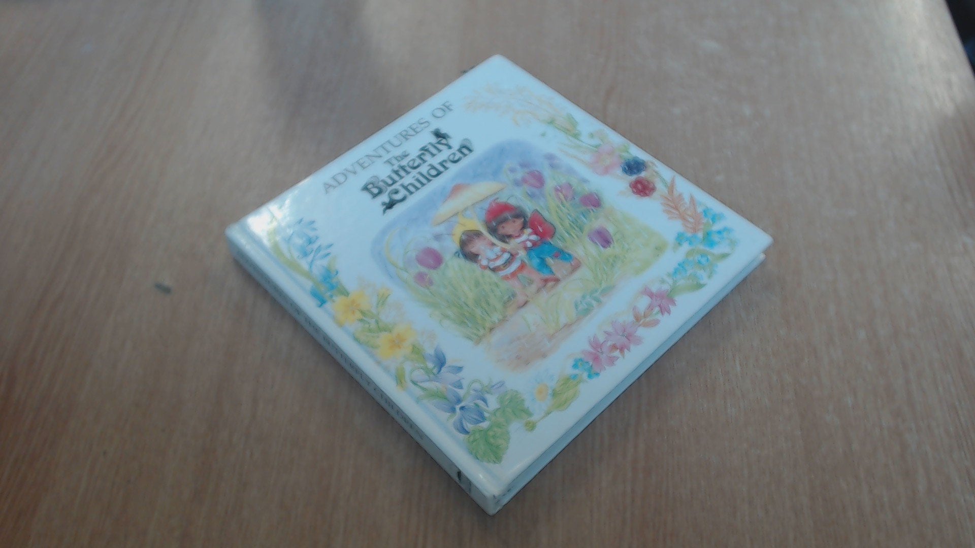 Adventures of the Butterfly Children book