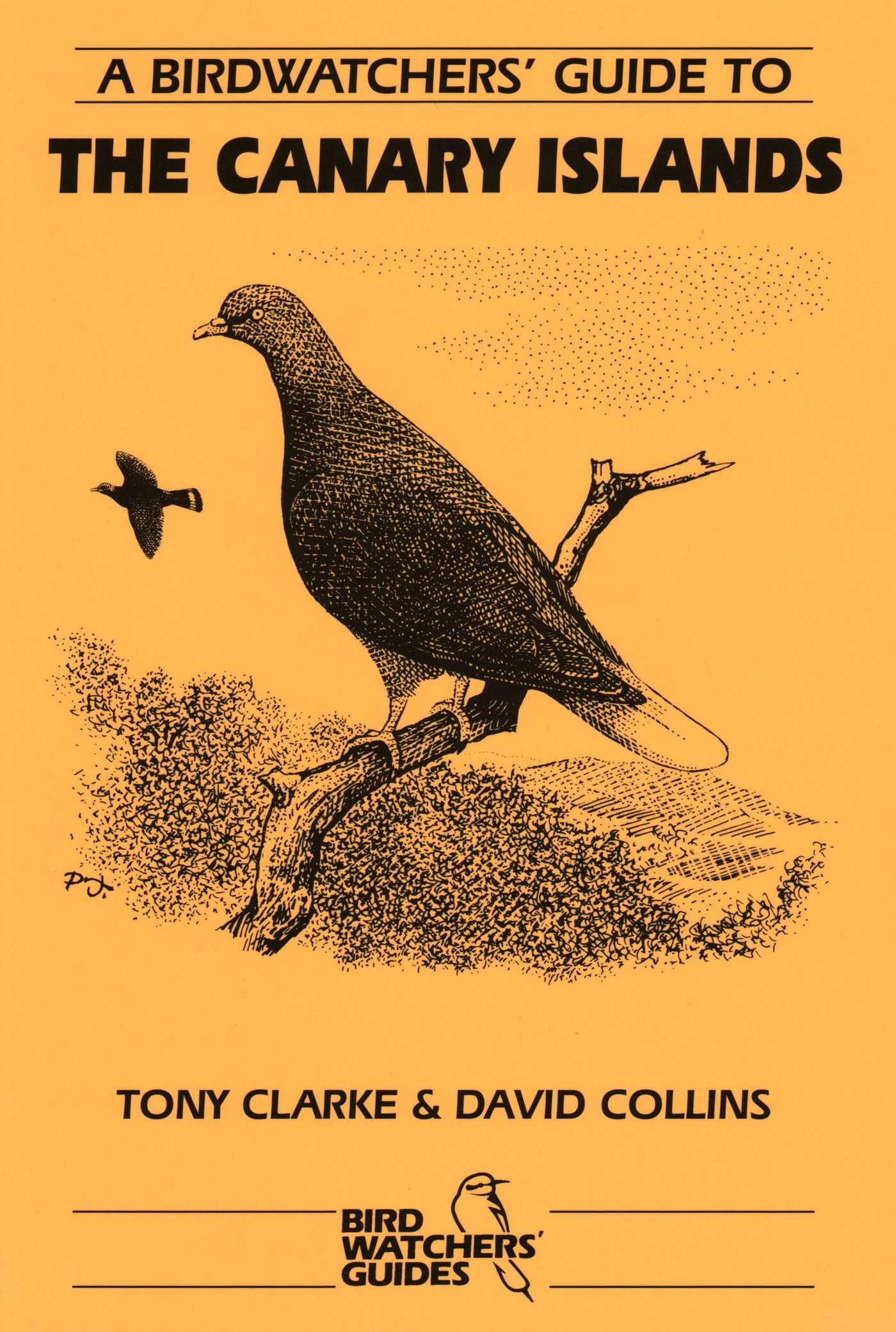 A Birdwatchers' Guide to the Canary Islands Mathematics