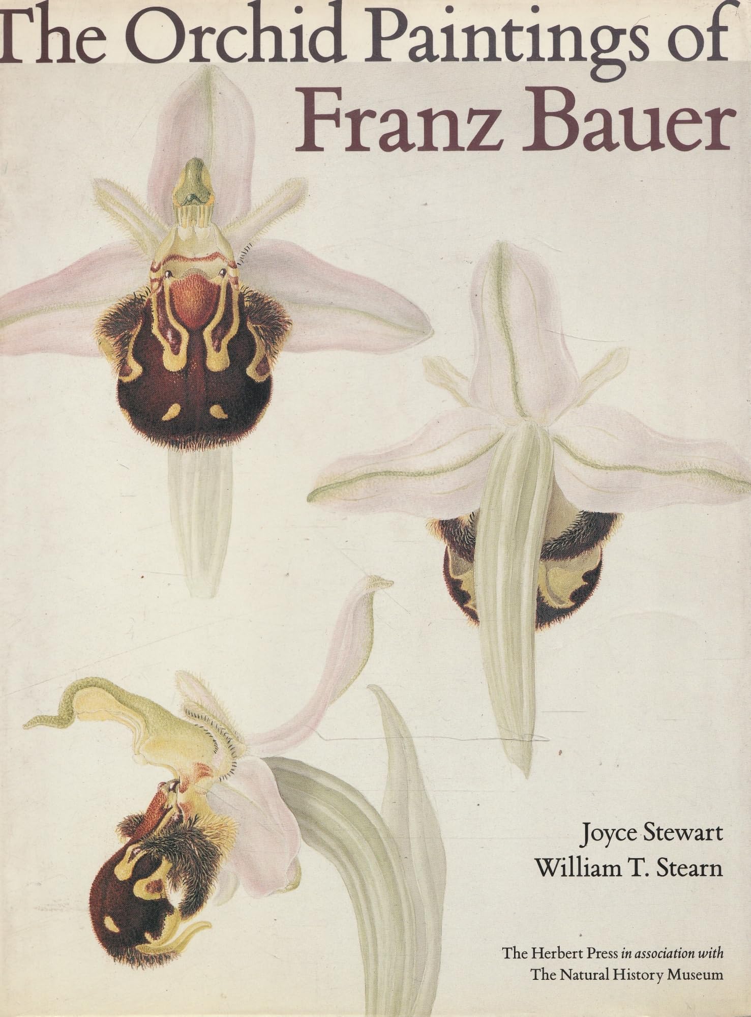 The Orchid Paintings of Franz Bauer (Art Reference) Mathematics
