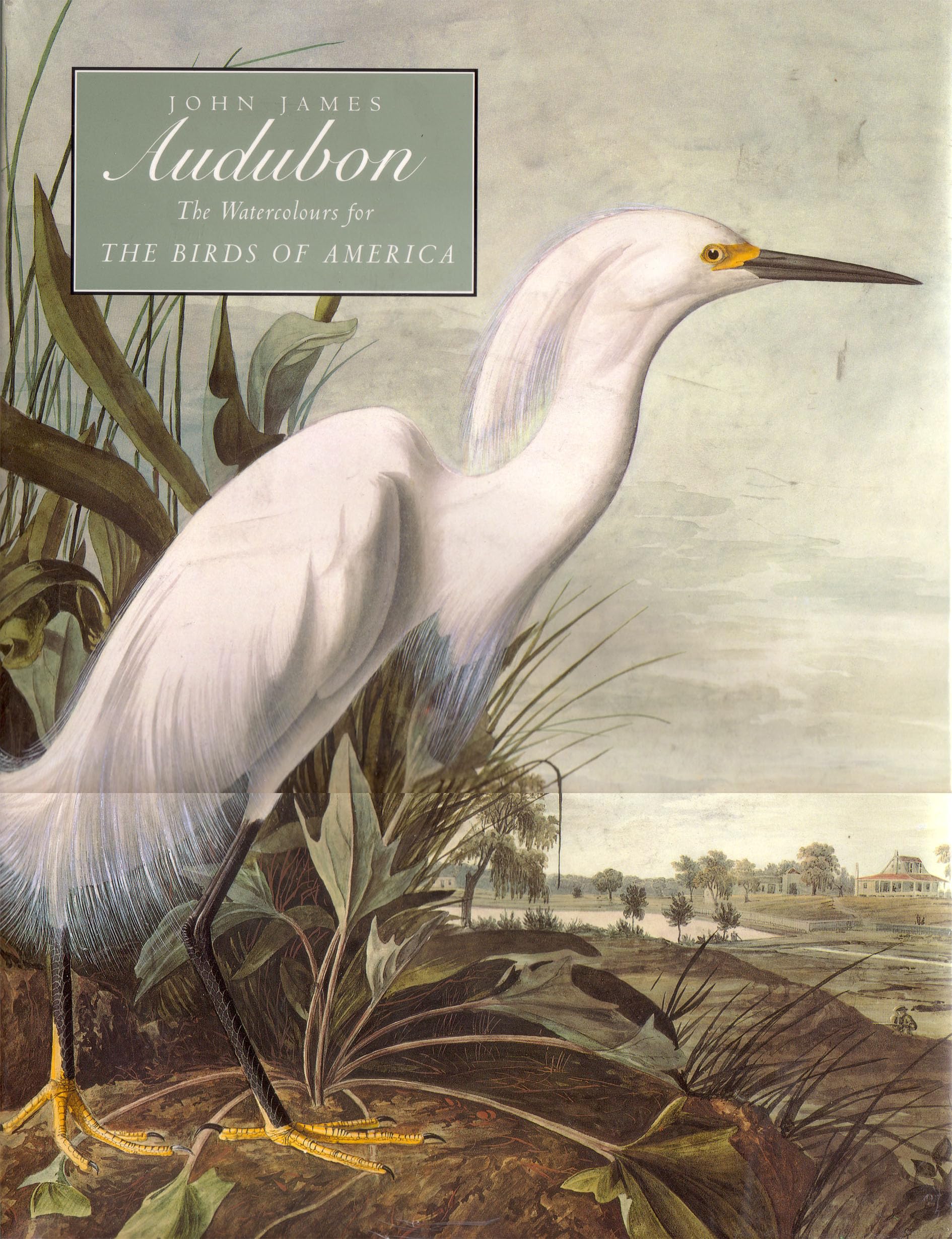 John James Audubon: Watercolours for the "Birds of America" book
