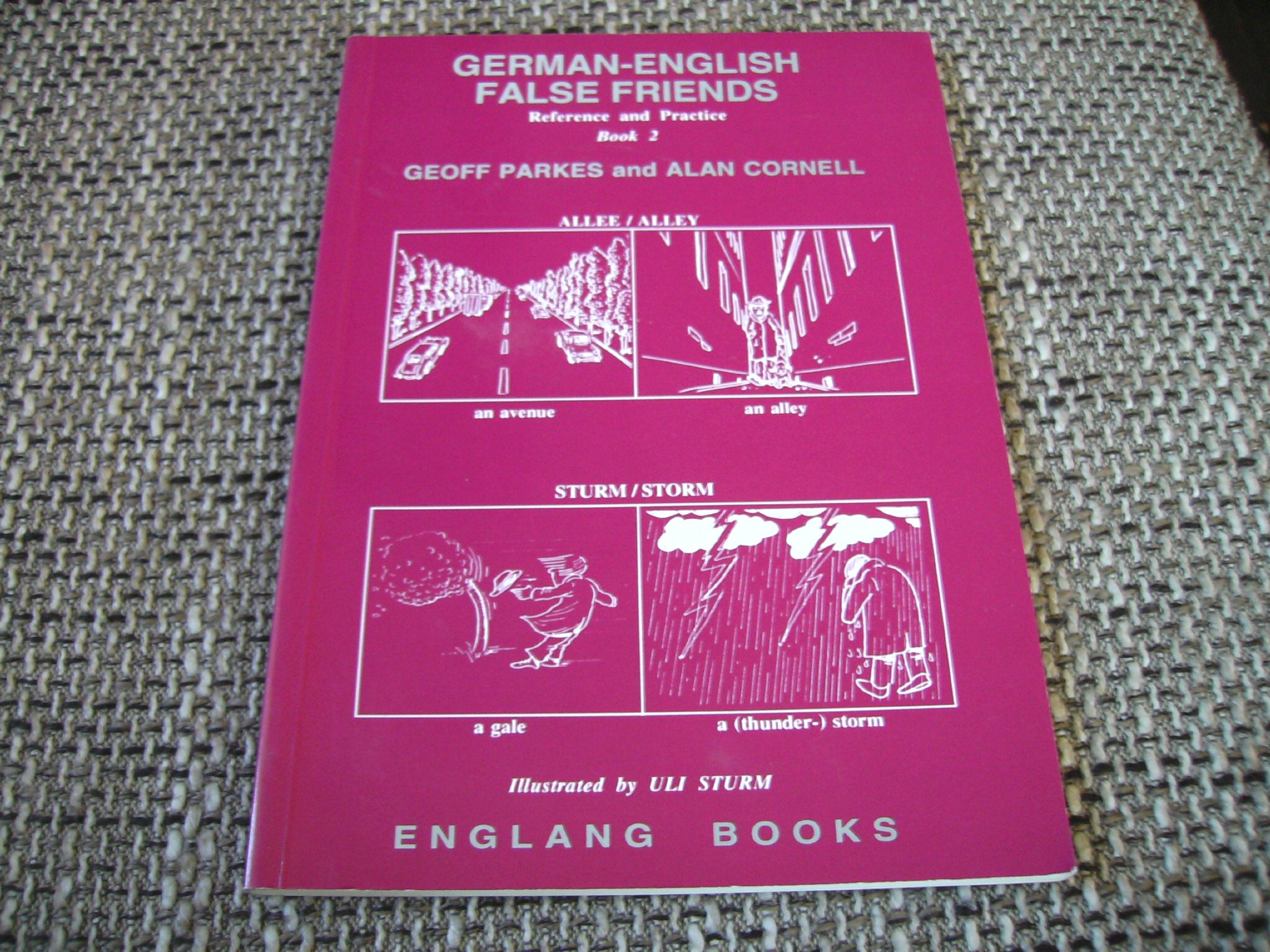 German-English False Friends: Bk. 2 Social Sciences Books