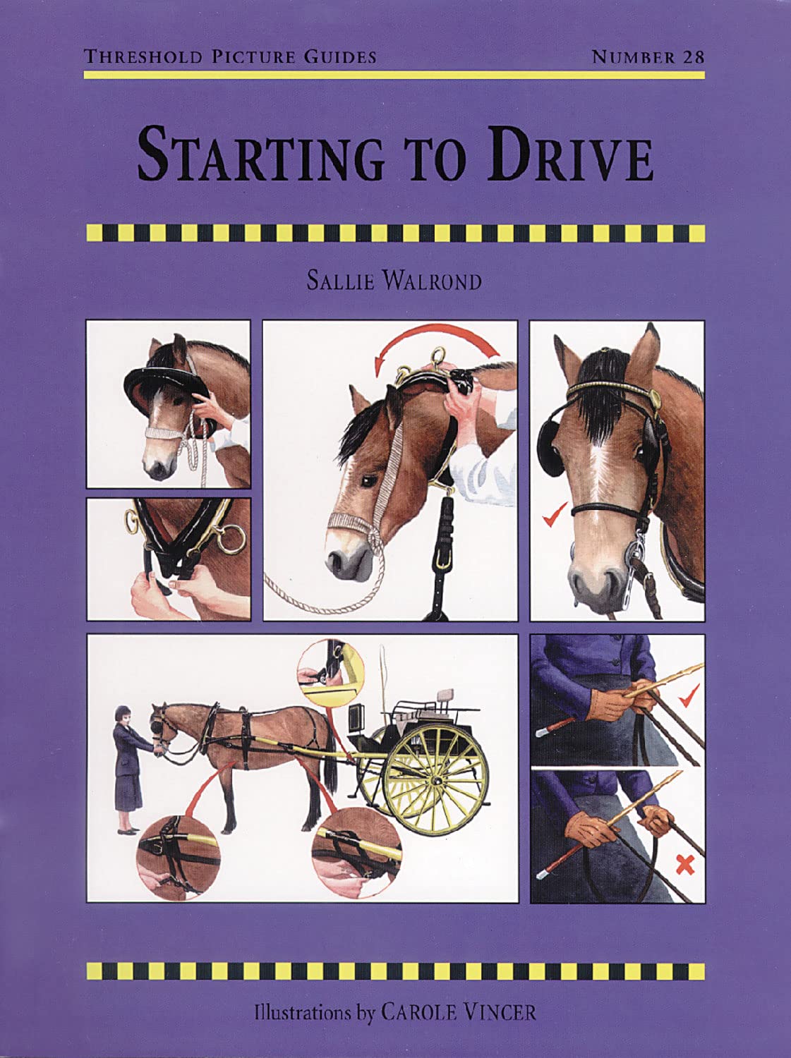 Product Image: Starting to Drive
