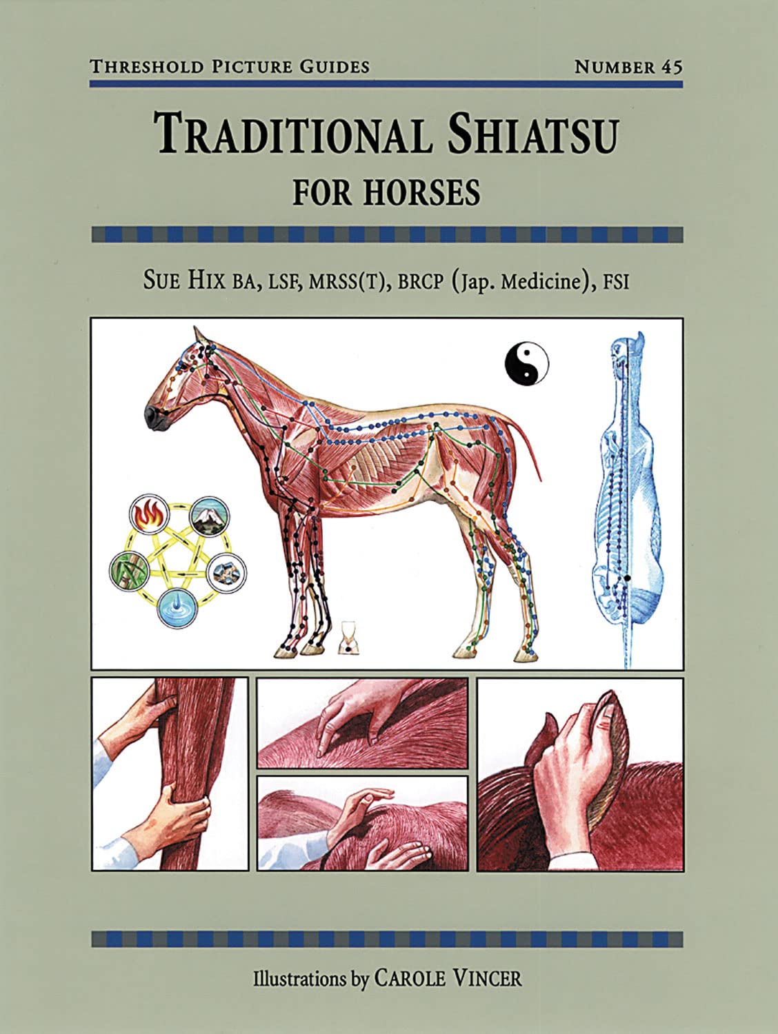 Hix, S: Traditional Shiatsu for Horses book