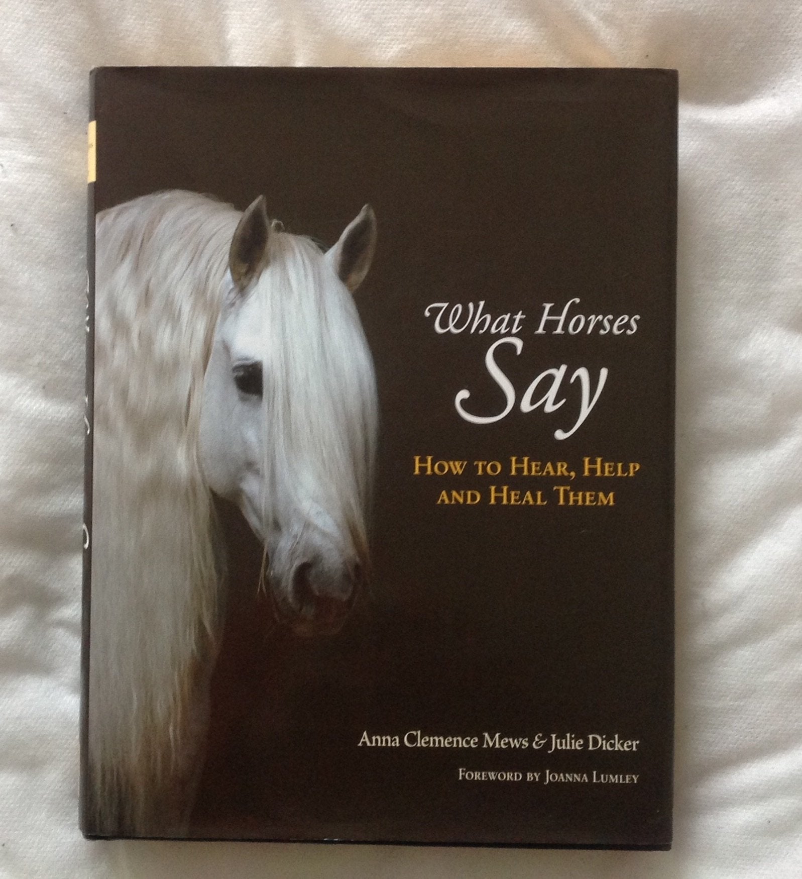 What Horses Say: How to Hear, Help and Heal Them Pets