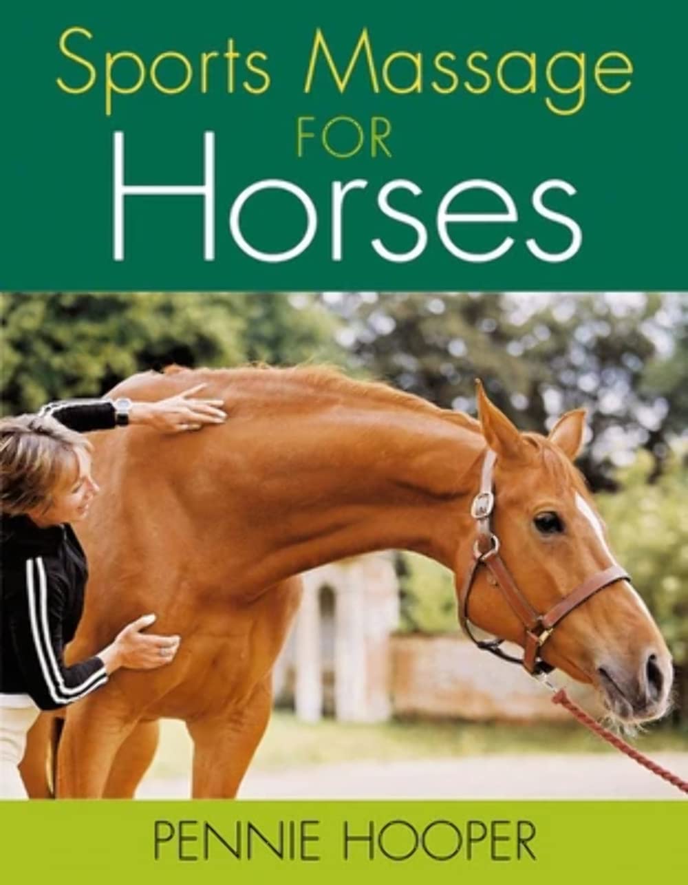 Sports Massage for Horses Medicine